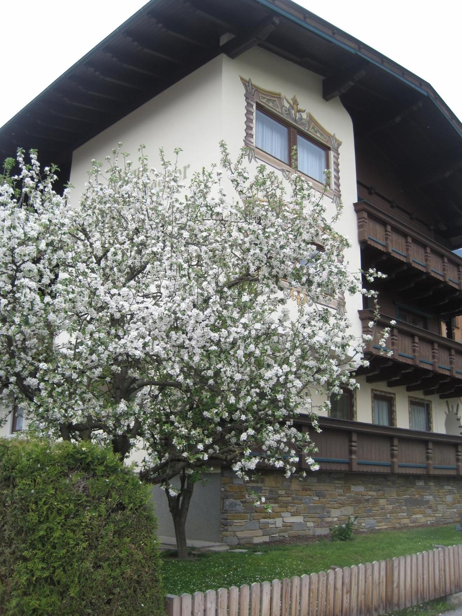Gästehaus Braunegger
