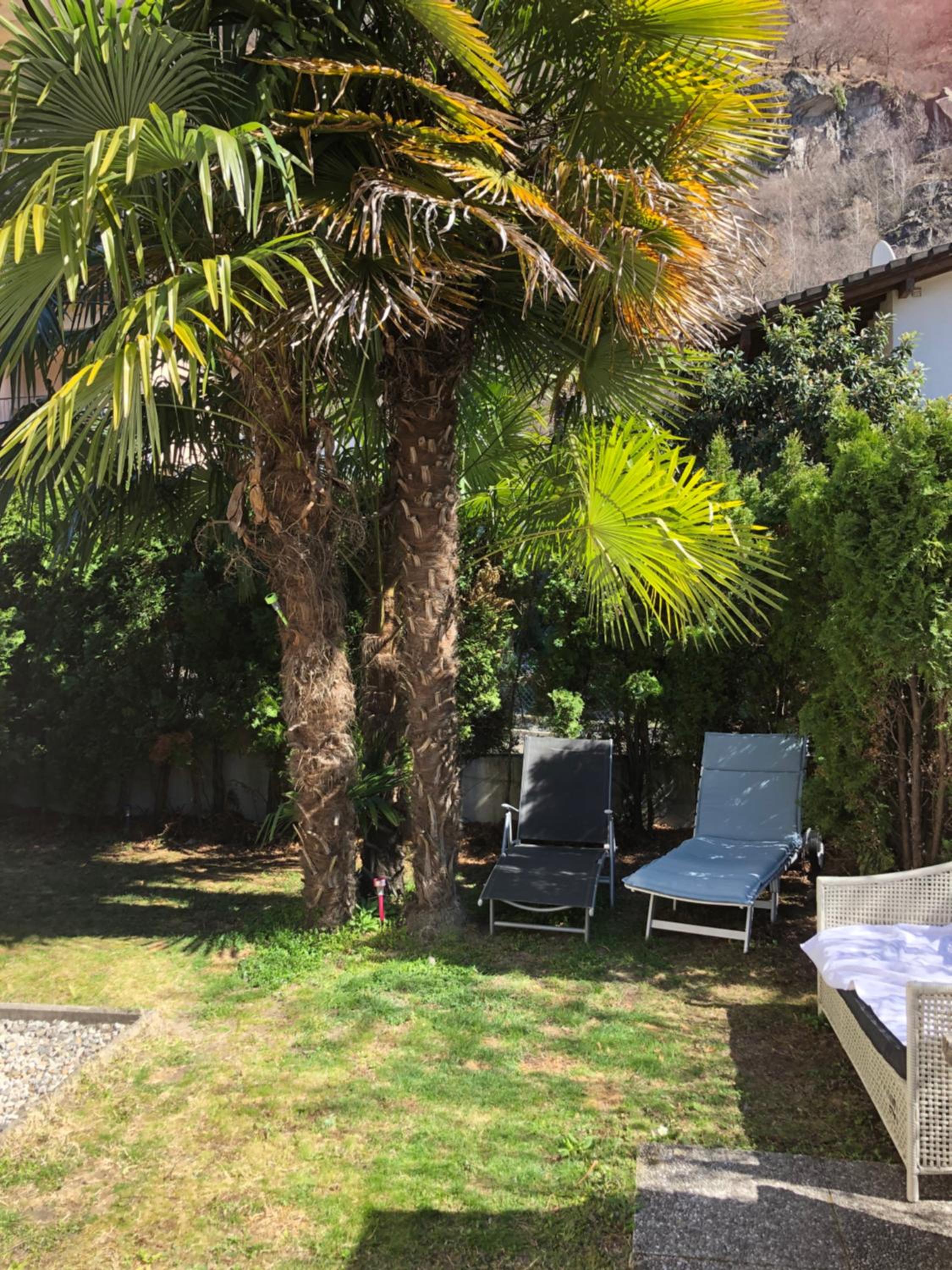 Gemütliche Gartenwohnung im Tessin, 70 qm view 5