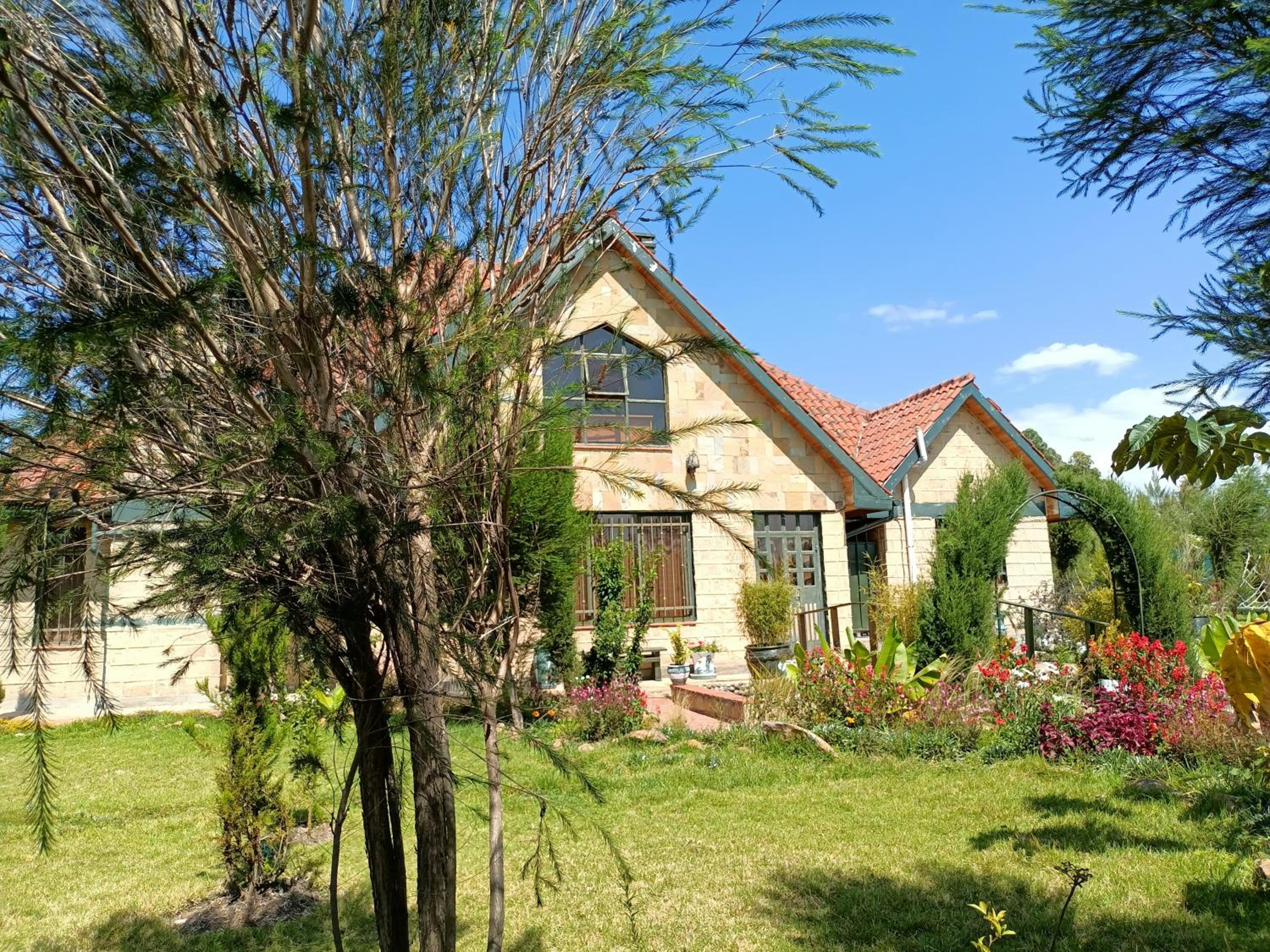 Mount Kenya Farm Stay view 2