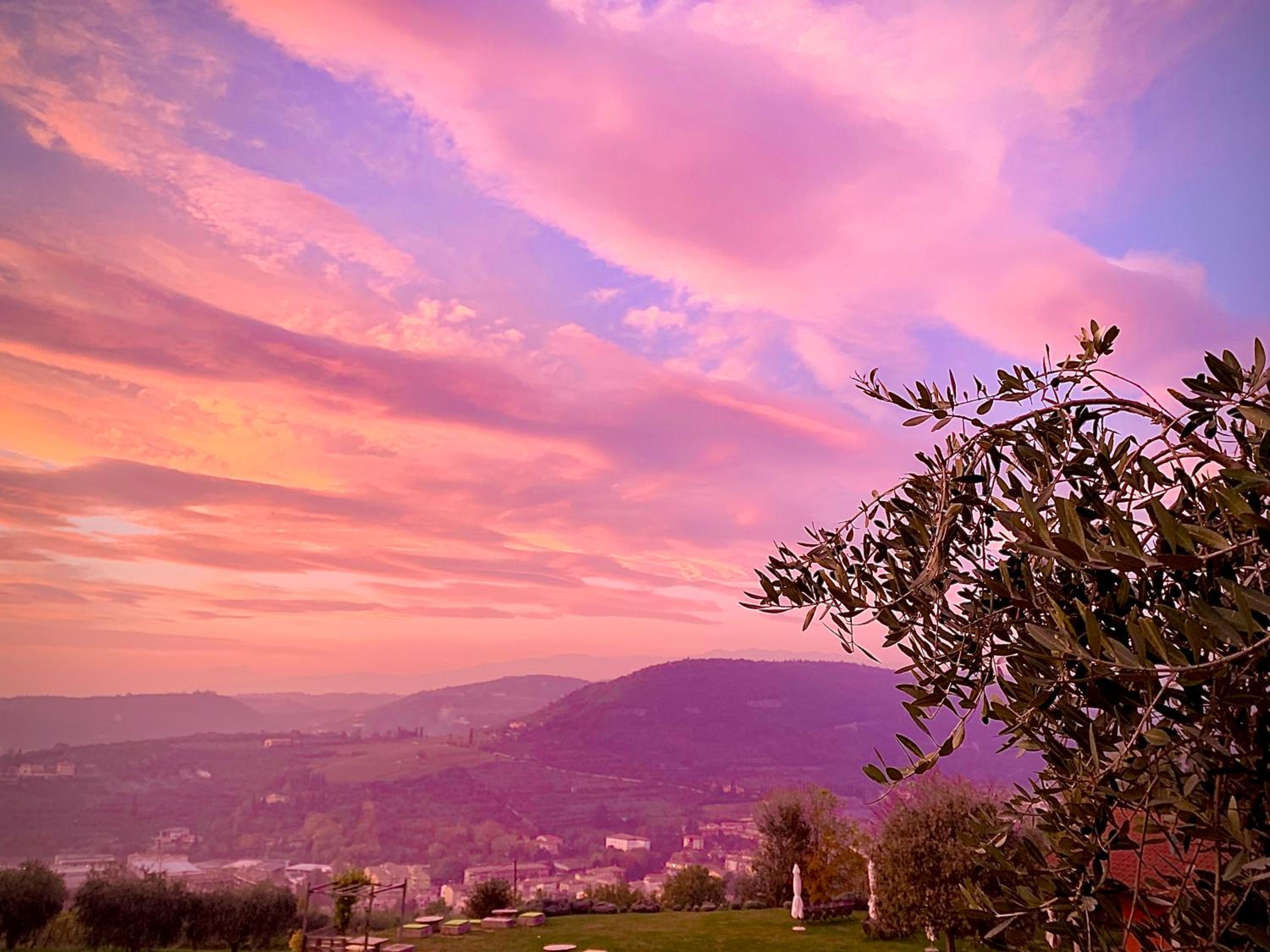 Agriturismo Il Pianetto