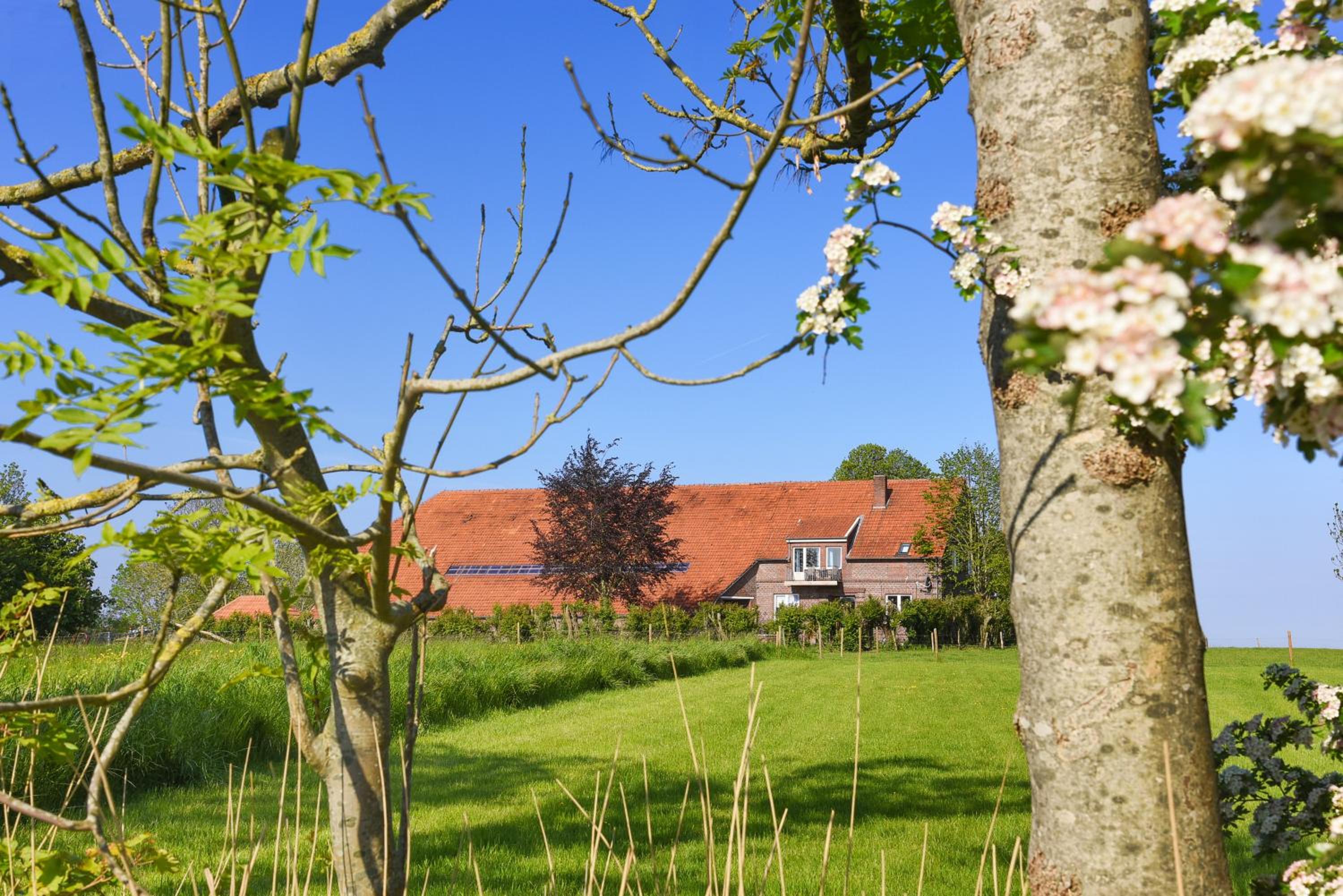 Ferienwohnungen auf dem Ferienhof an der Schafweide view 2