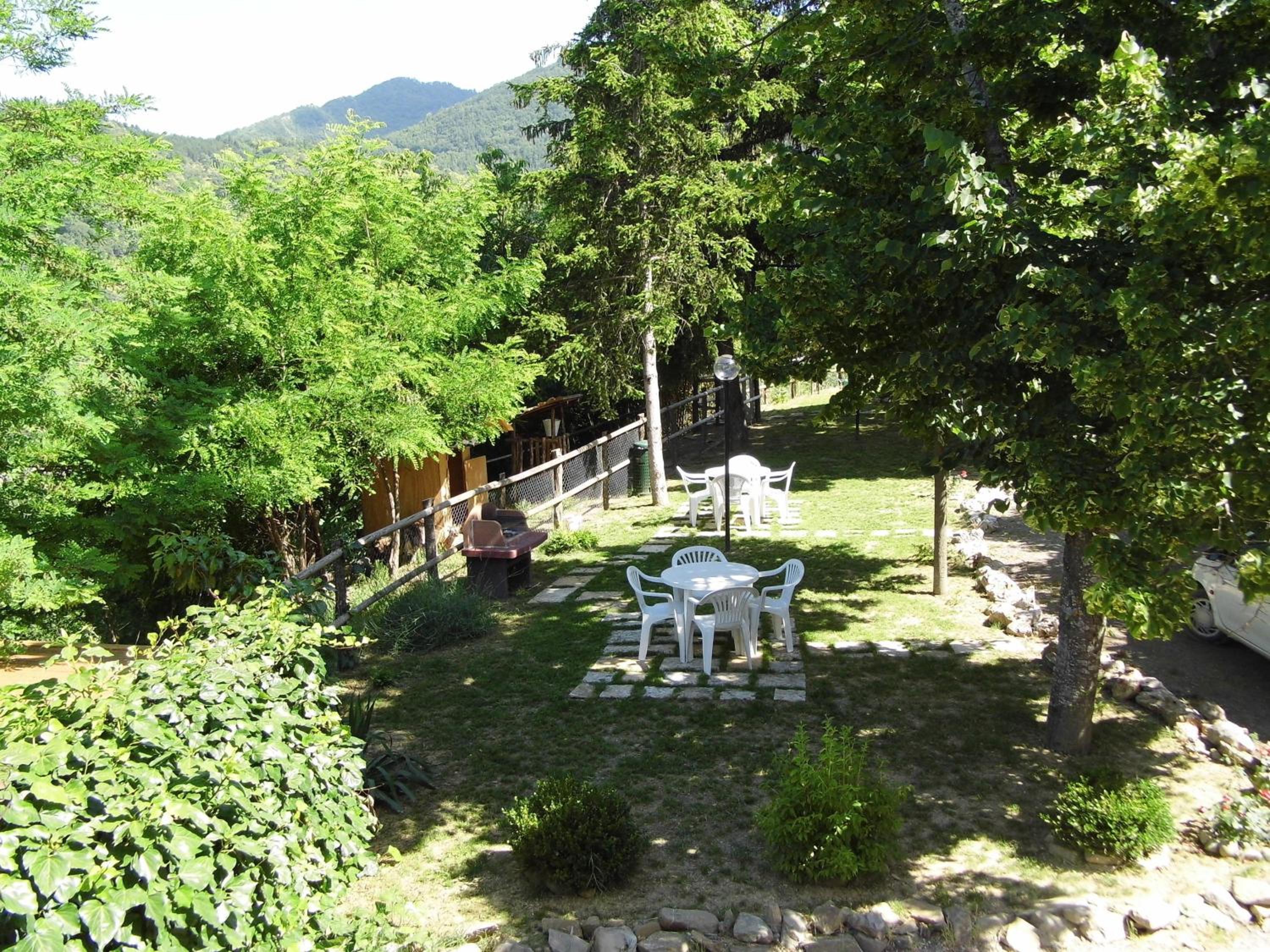 Photo 43