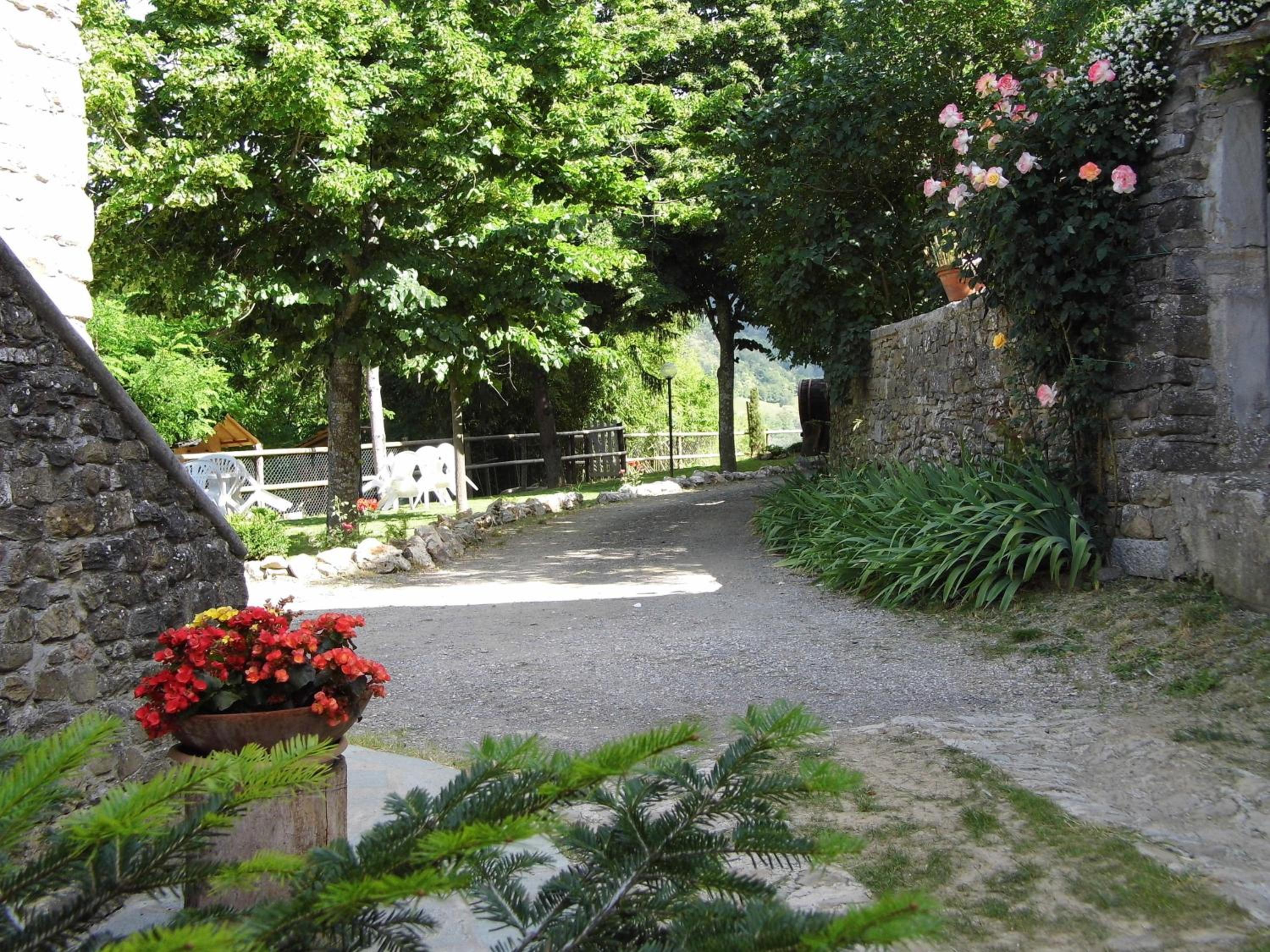 Photo 46