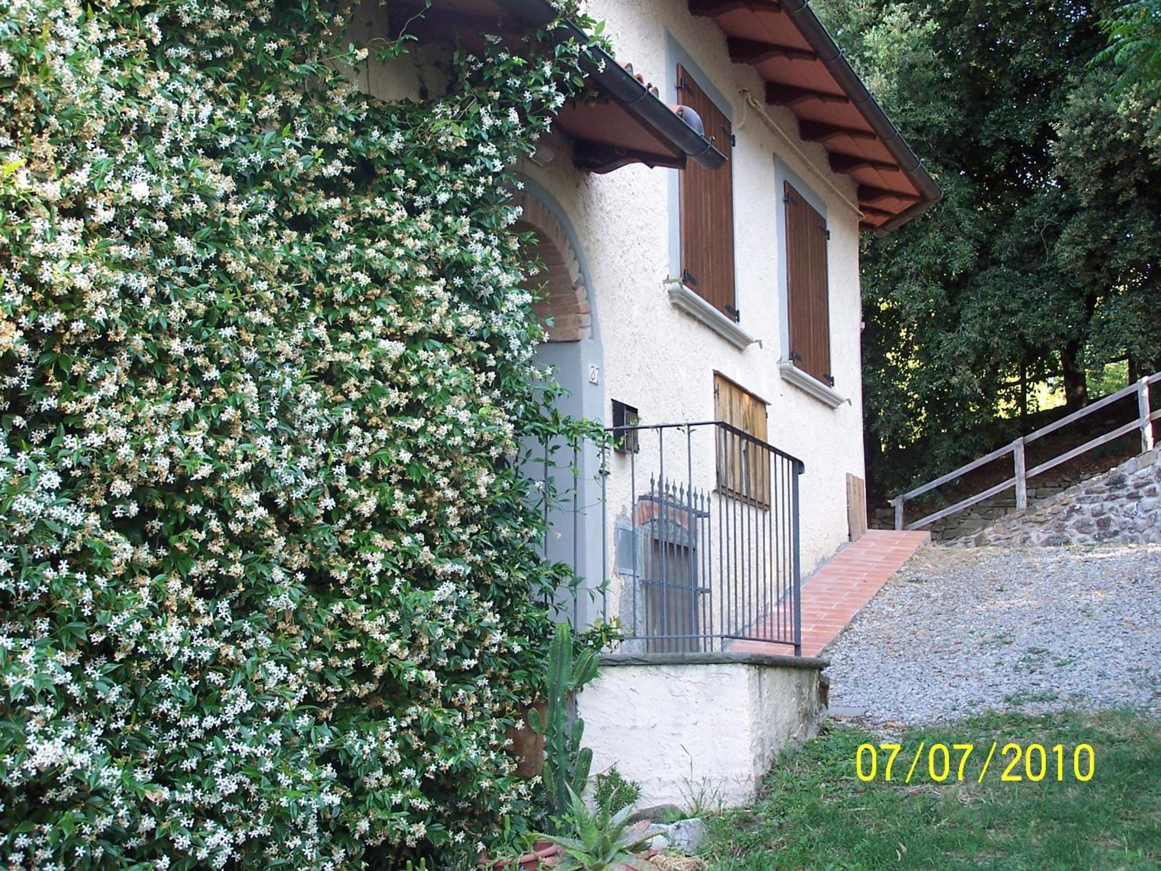Photo 37