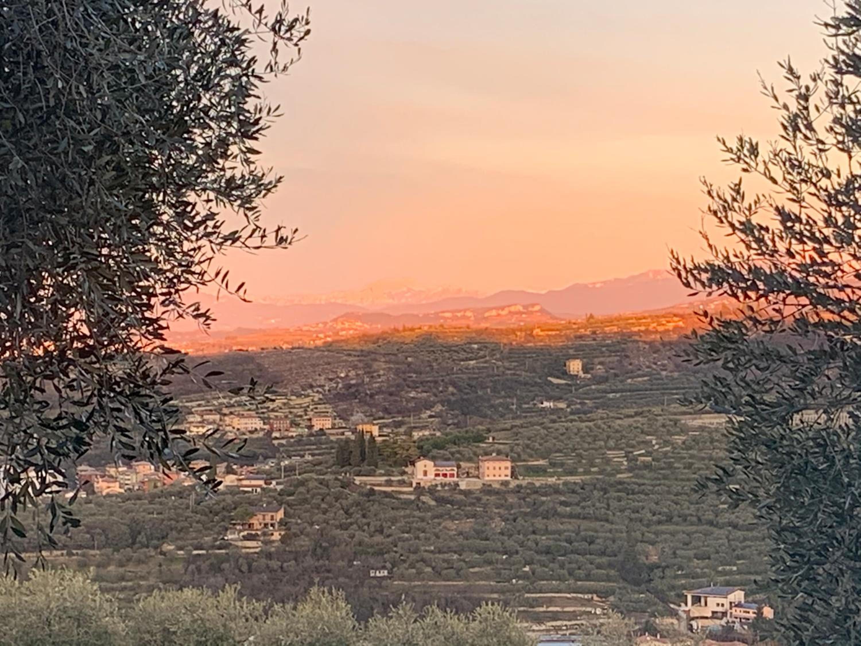 Agriturismo Il Pianetto