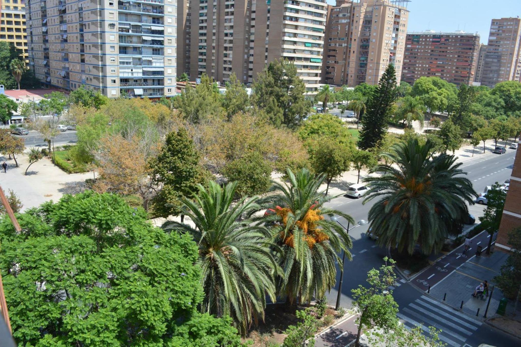 Apartemento grupo amigo o familias : blasco ibanez C view 2