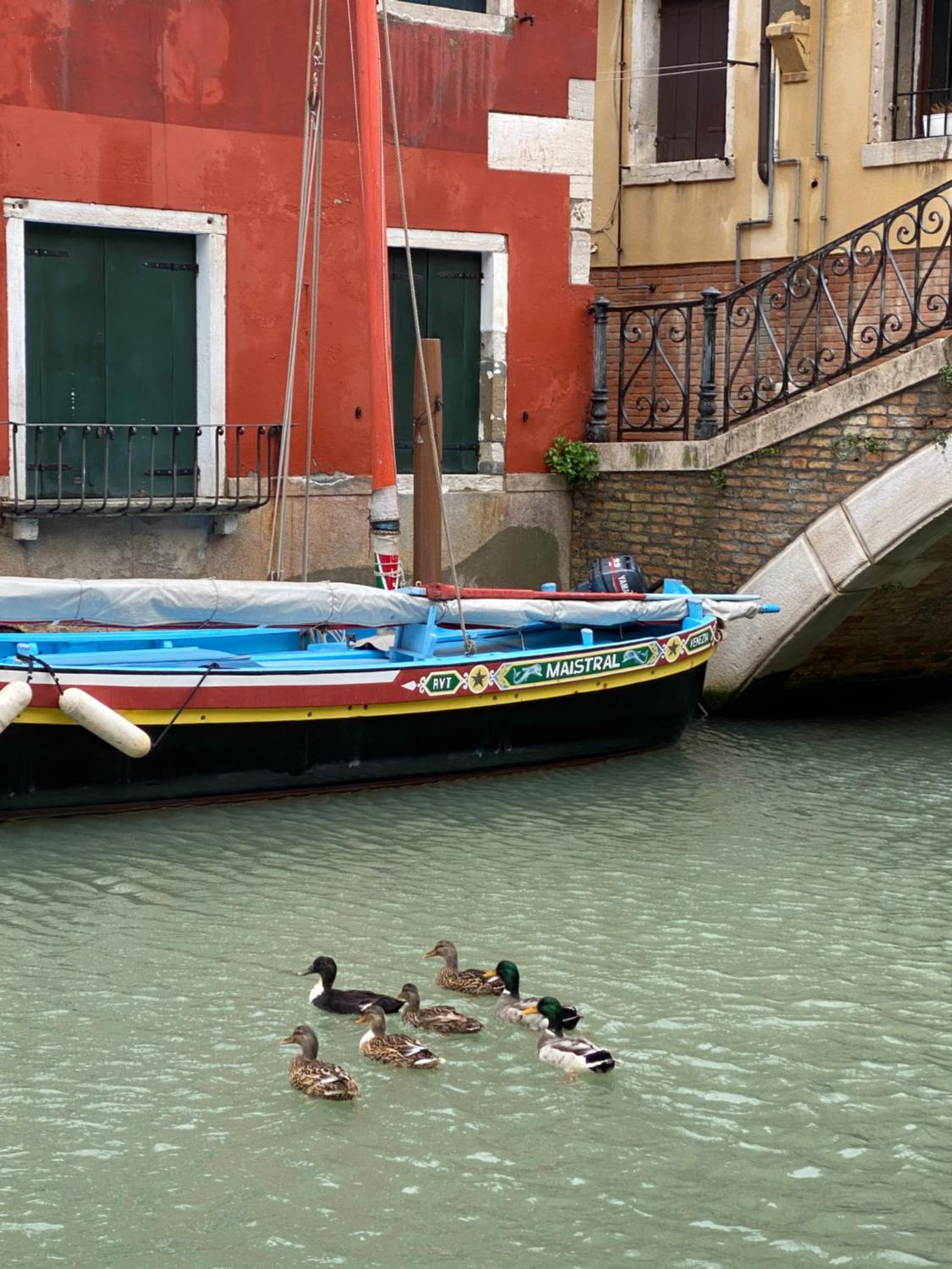 TINTORETTO VISTA REAL VENICE