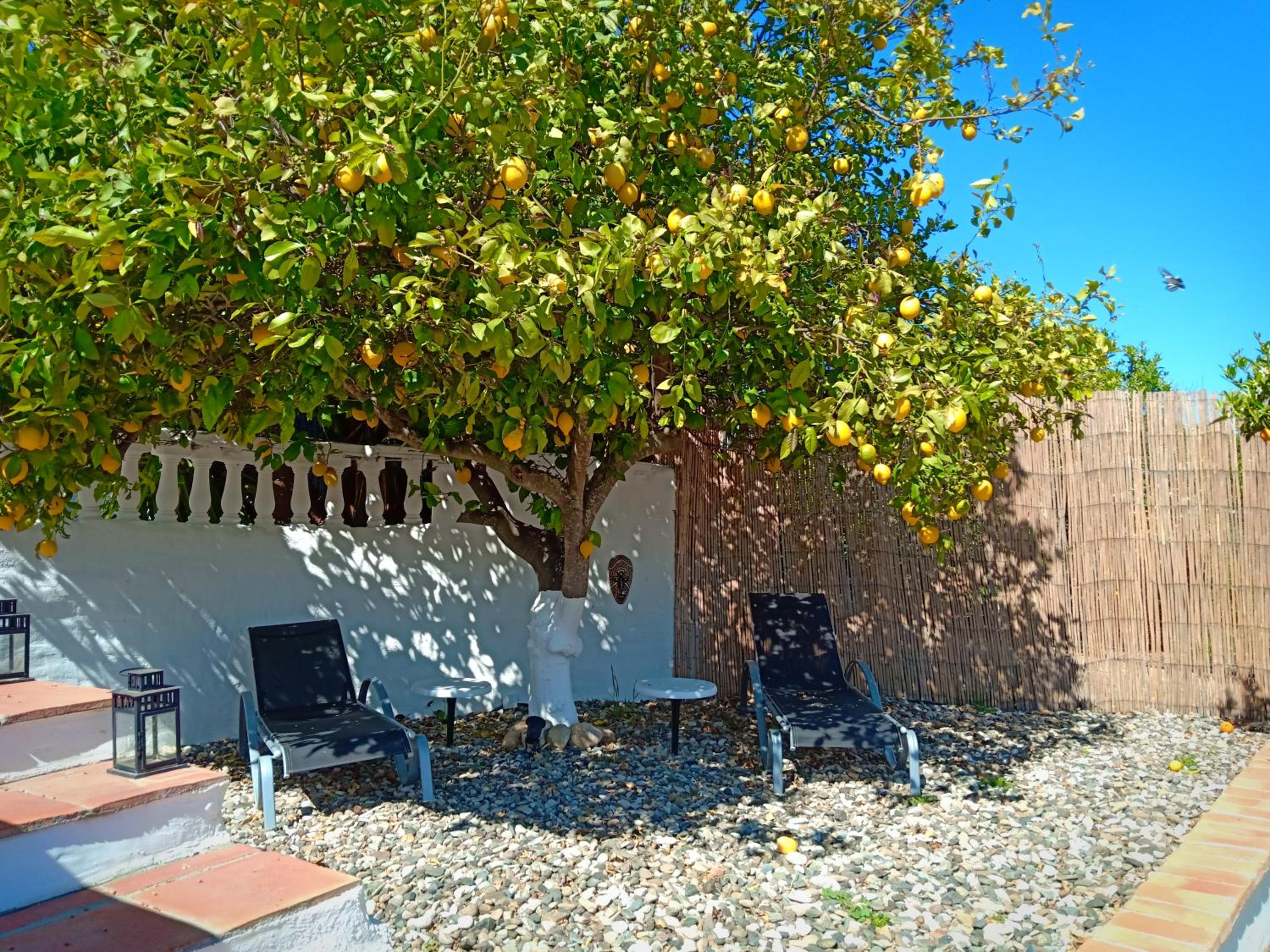 Finca Rayo del Sol
