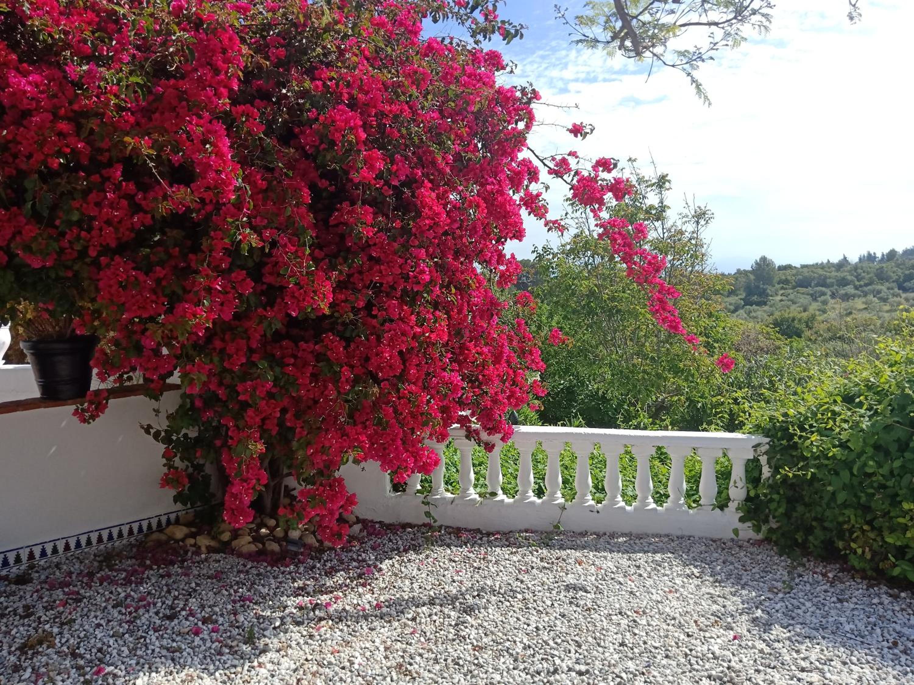 Finca Rayo del Sol