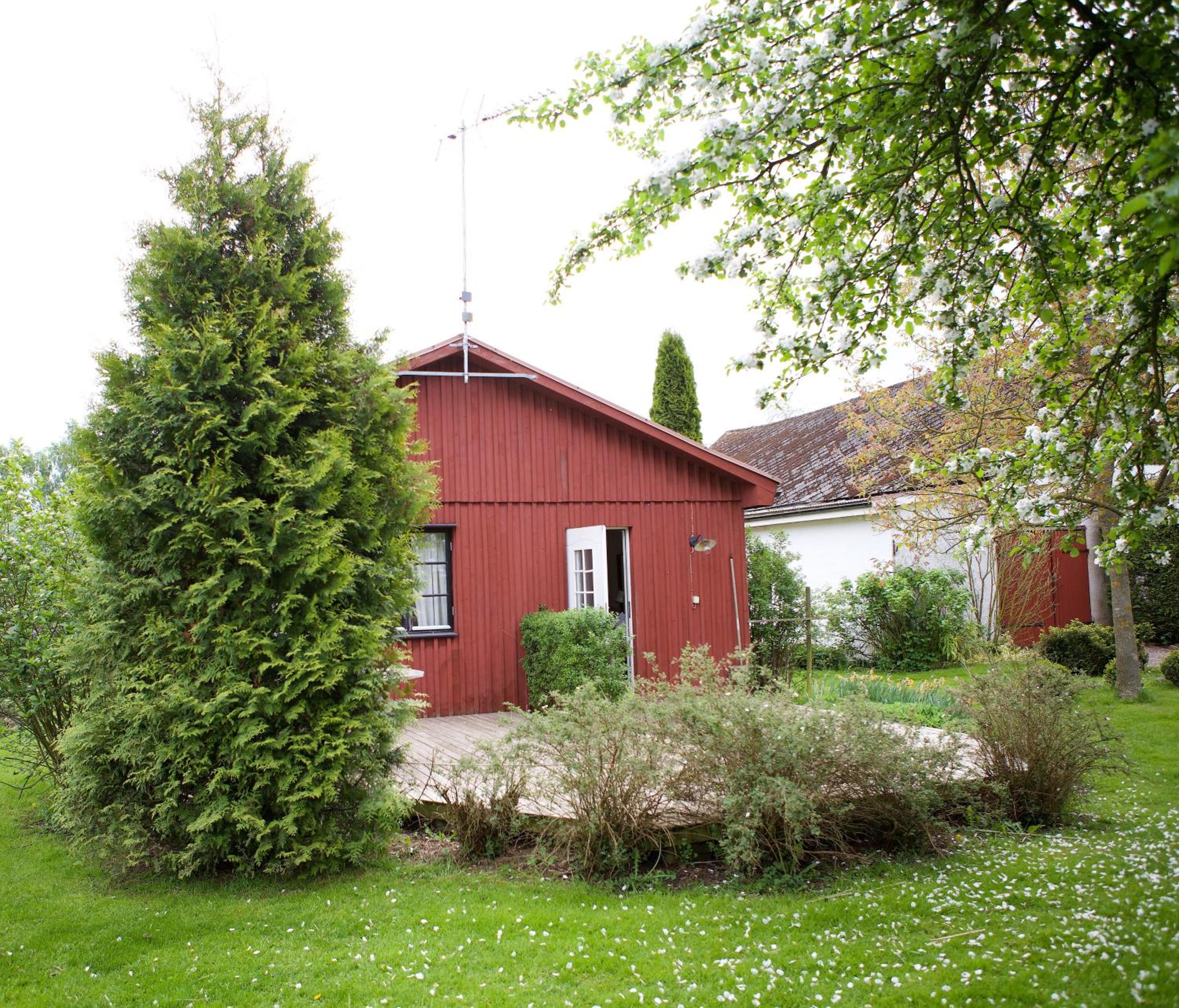Photo 6