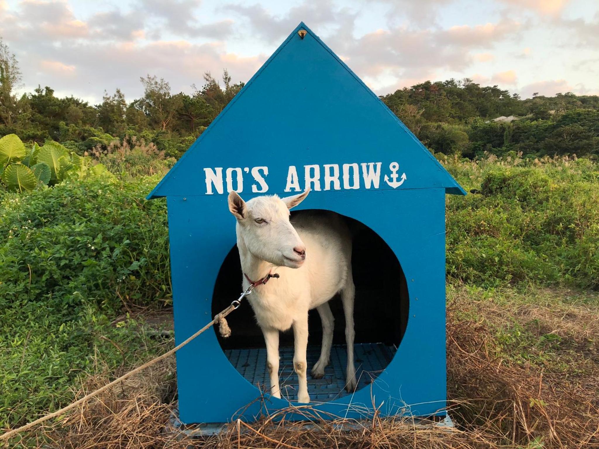 秘密基地 NO's ARROW ノーズアロー, Onna - 24