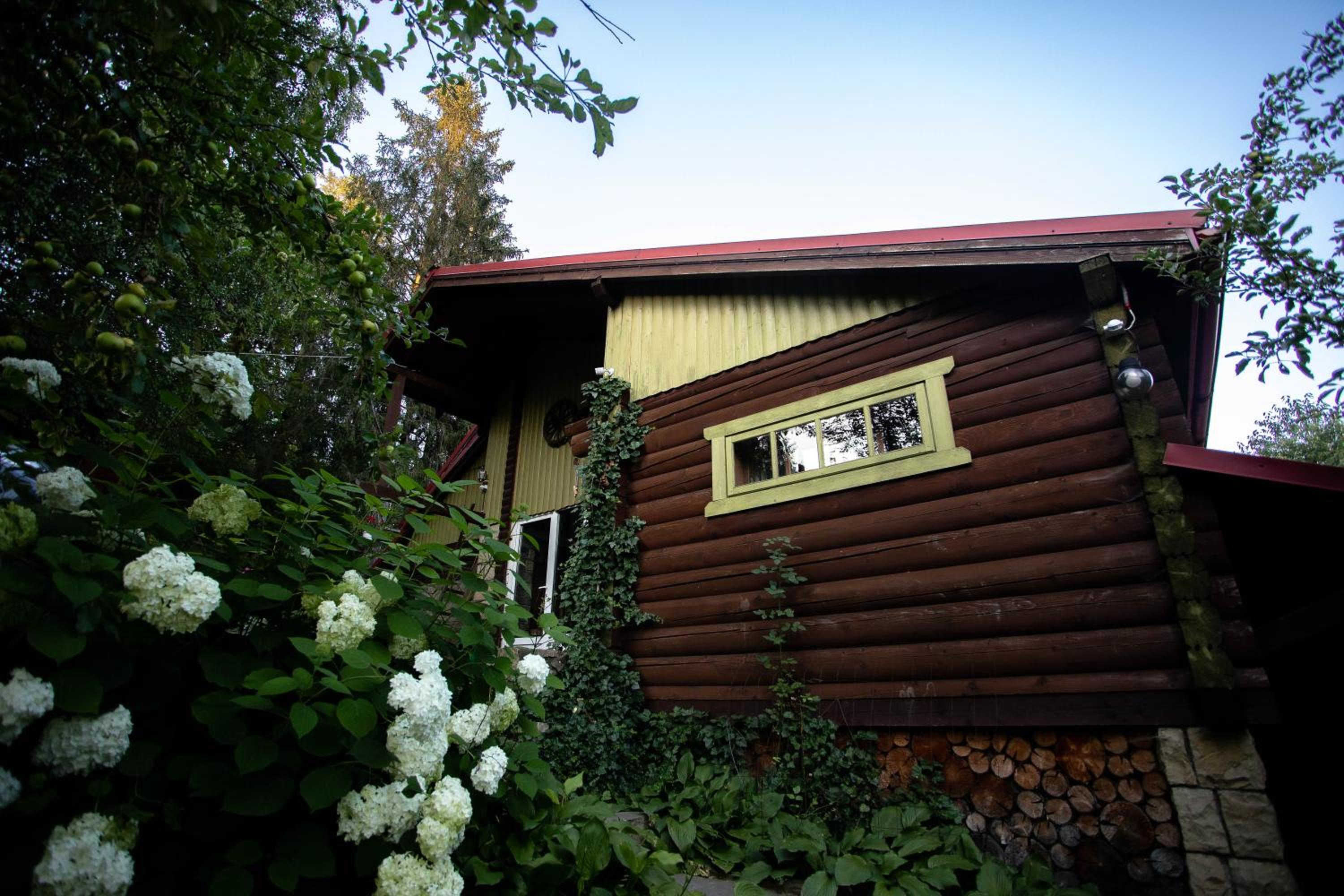 Photo 42
