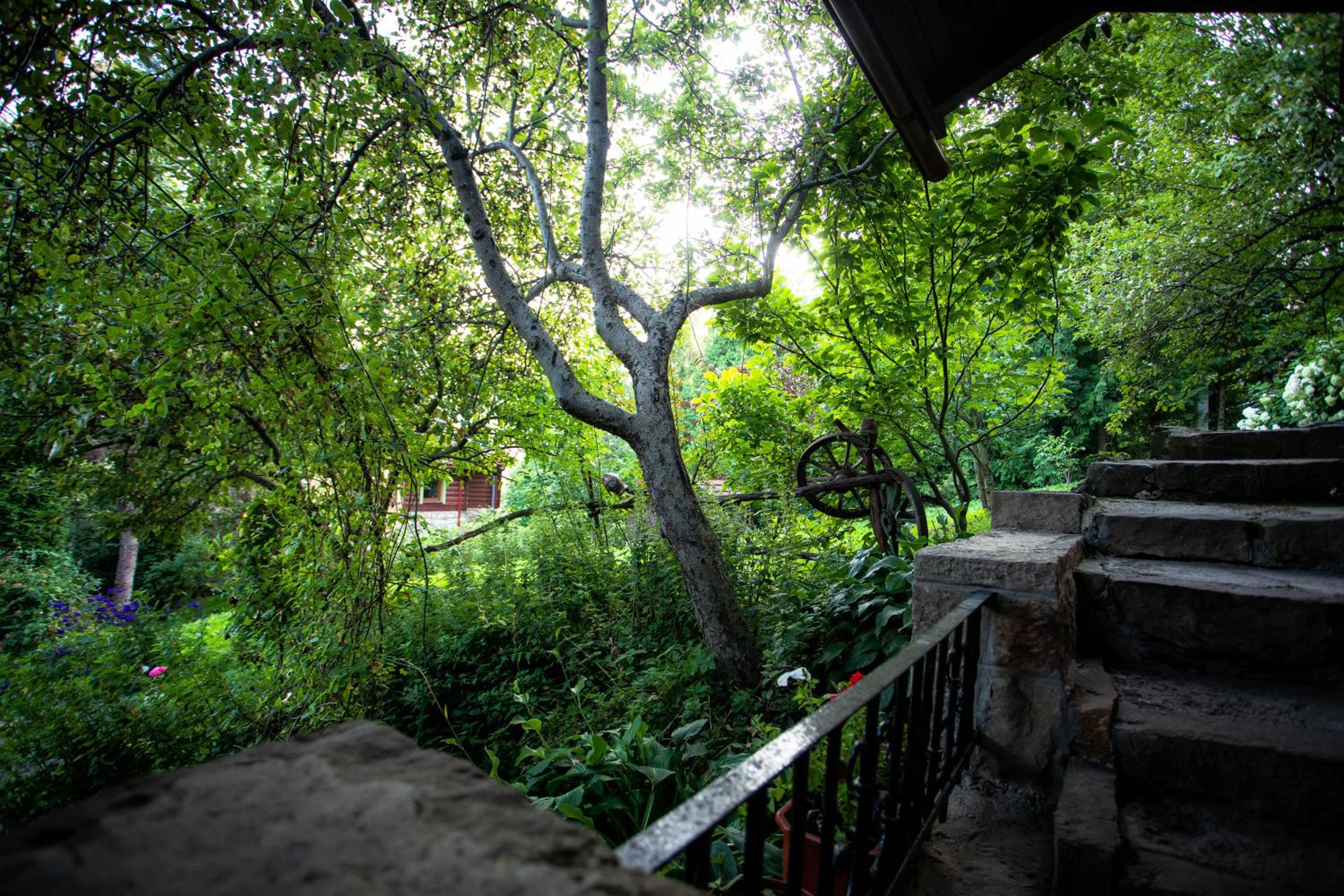 Photo 47
