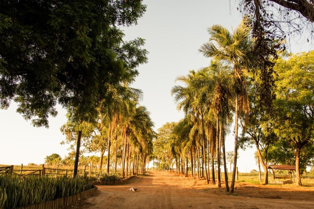 Eco Resort Foz do Marinheiro