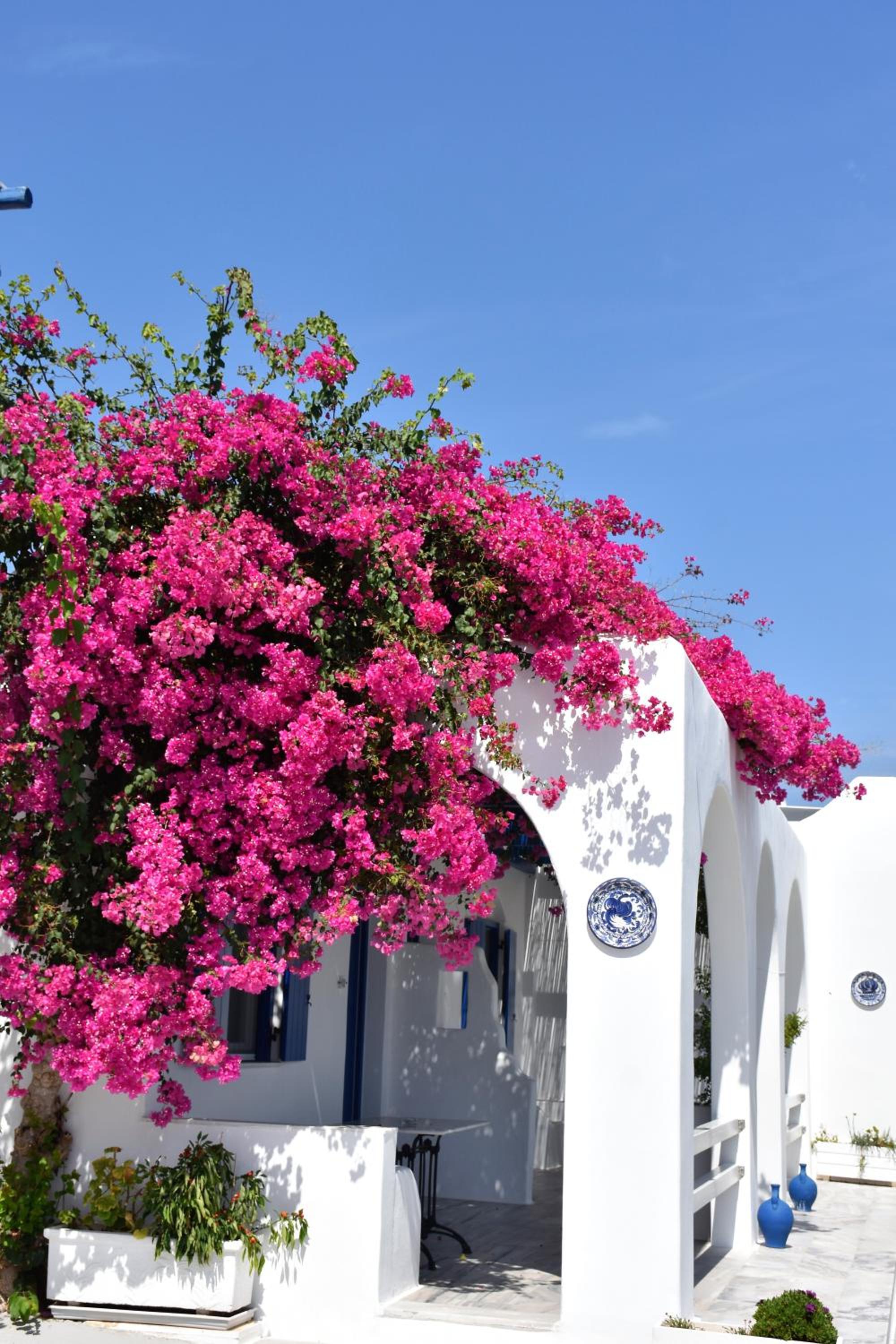 Bungalows Marina 59
