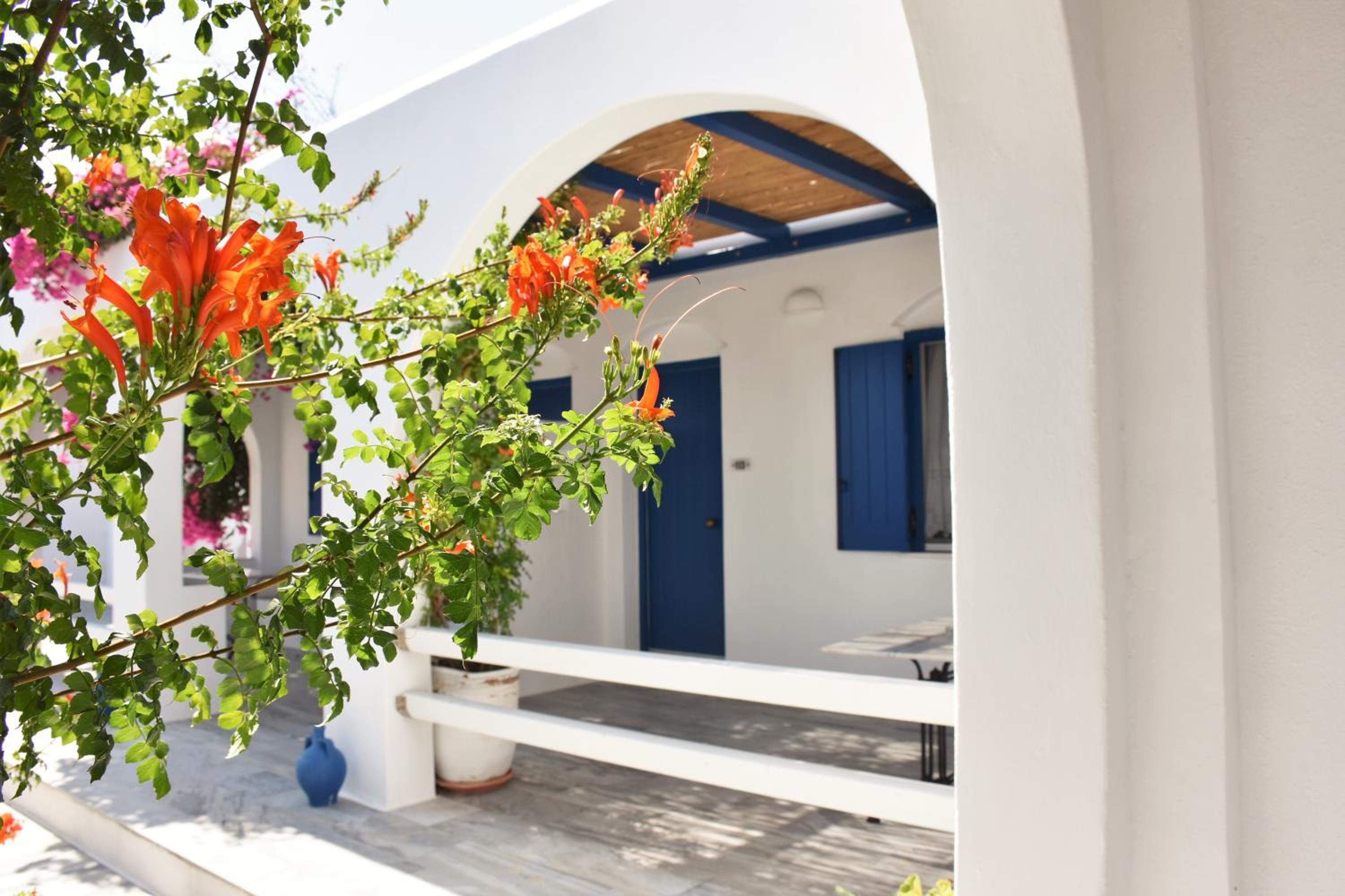 Bungalows Marina 55