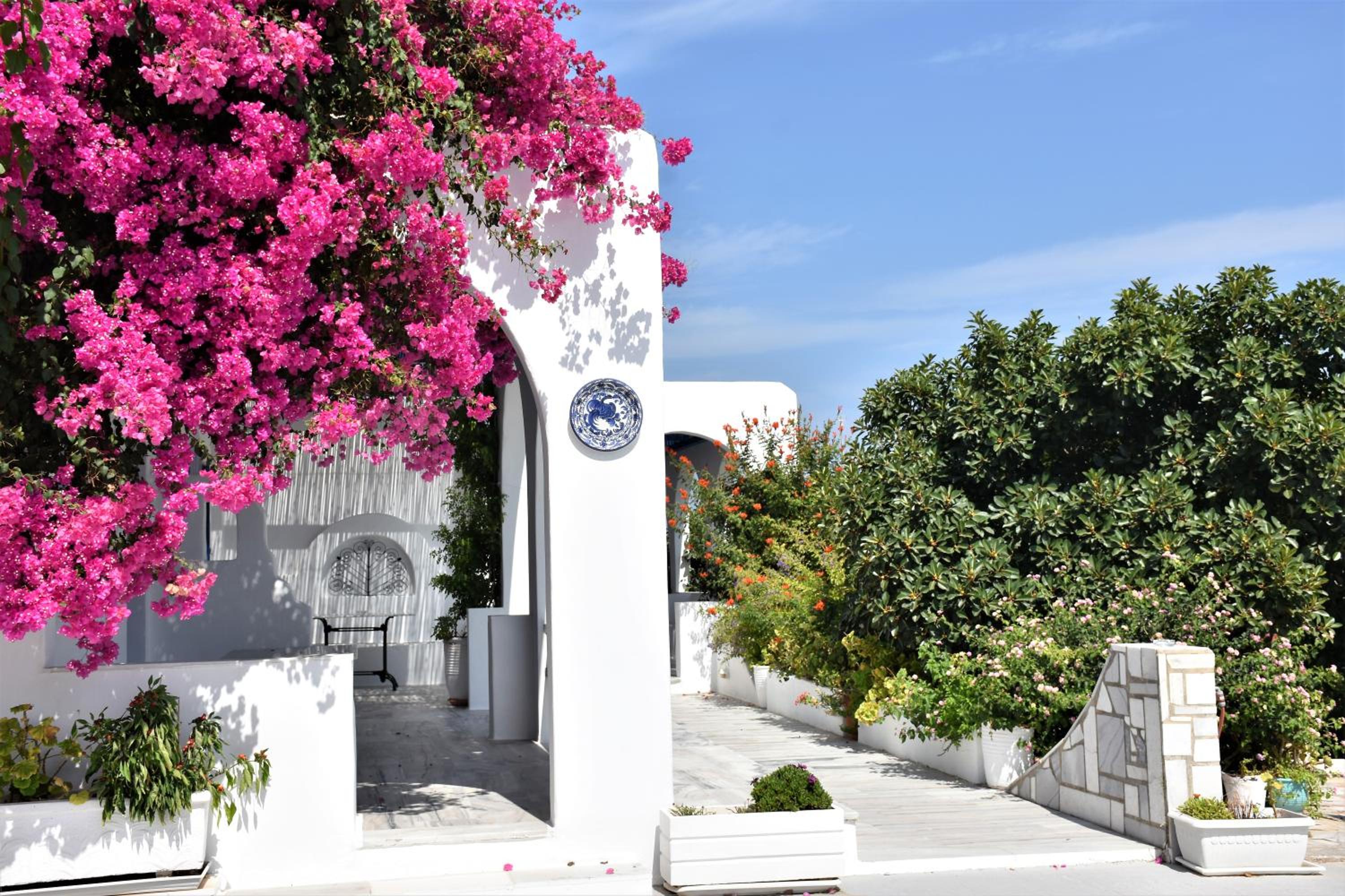 Bungalows Marina 56