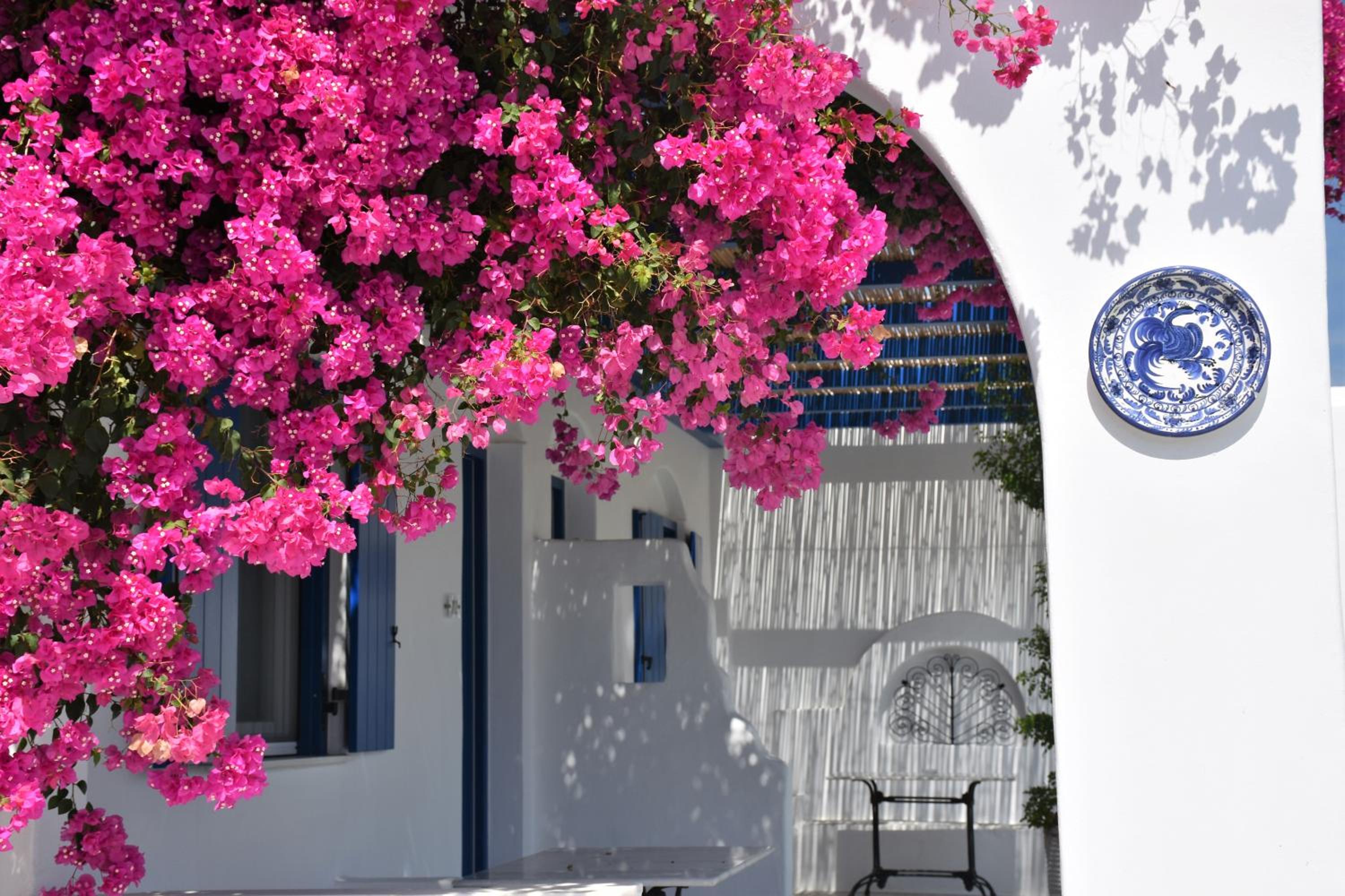 Bungalows Marina 58