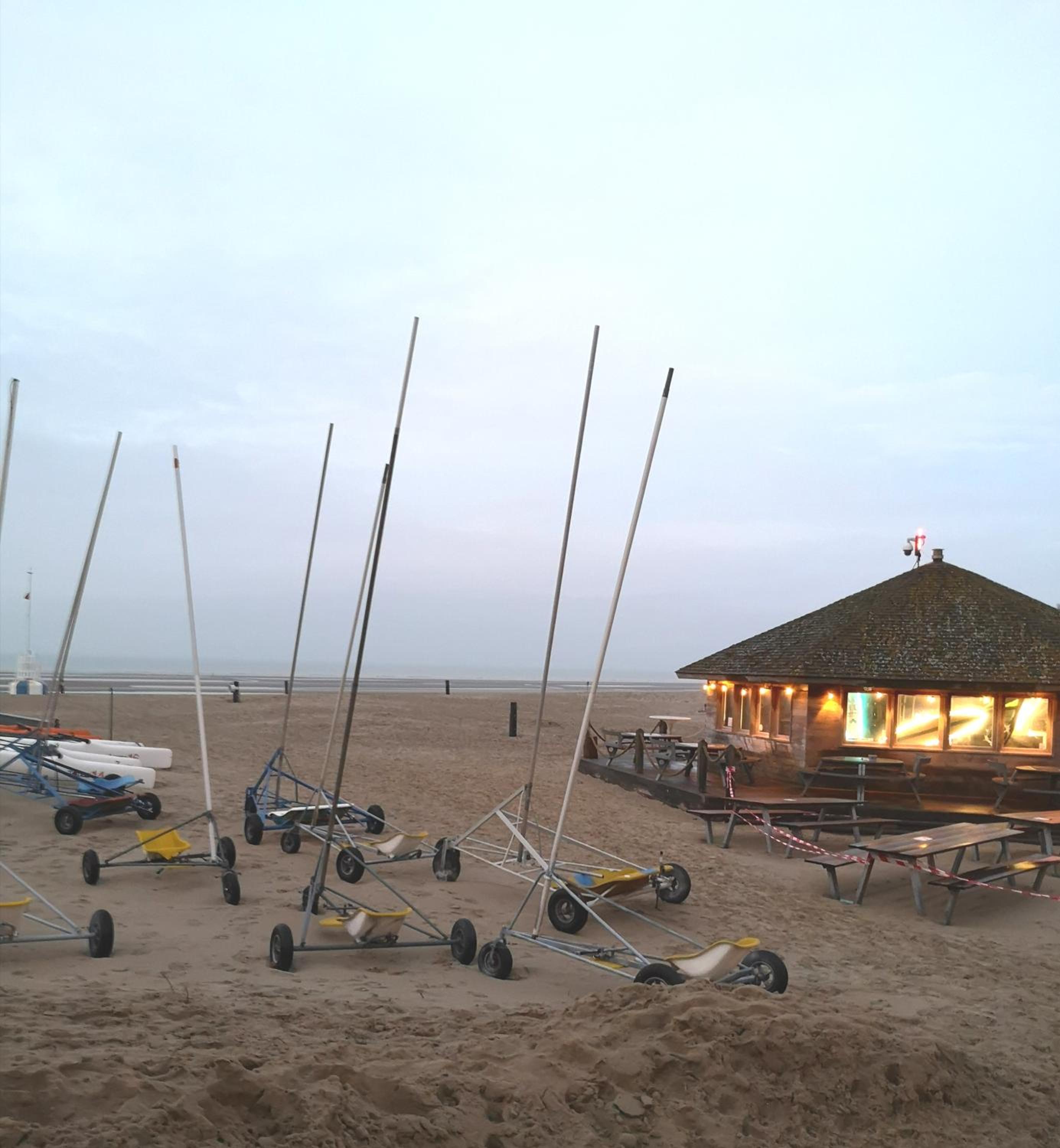 Zeester en koffie. view 5