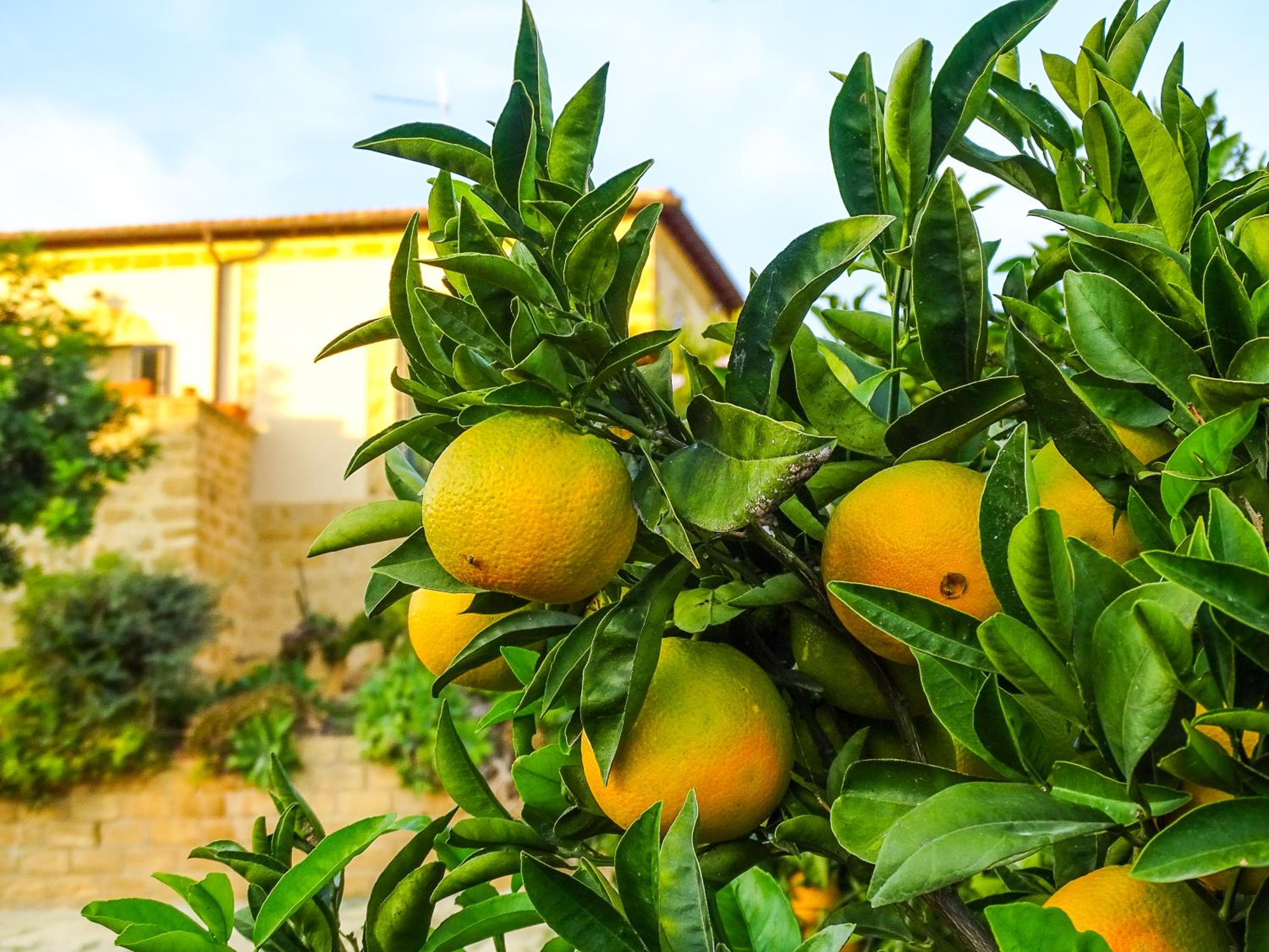 Villa La Lumia B&B Suites & Apartments