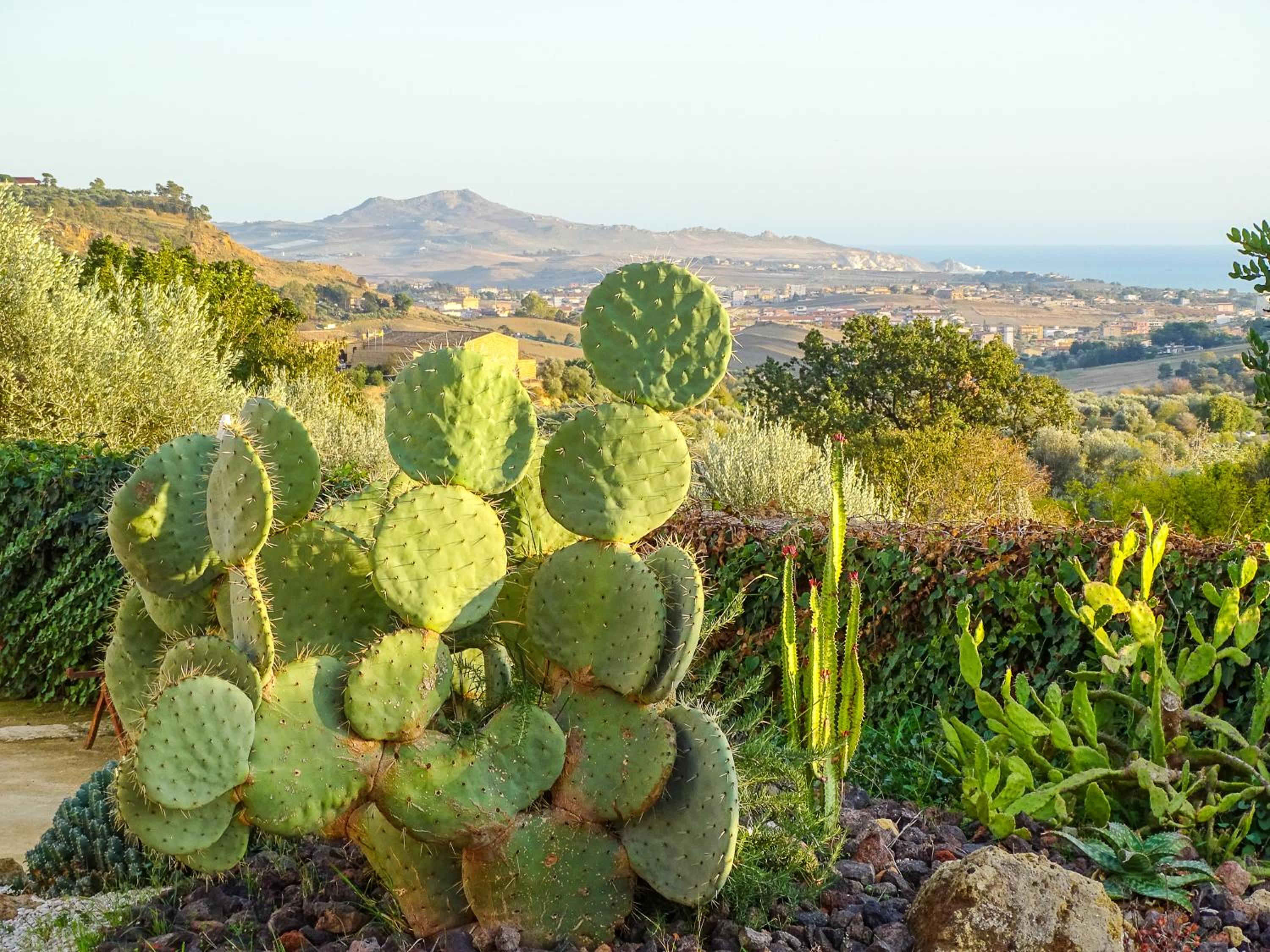 Villa La Lumia B&B Suites & Apartments