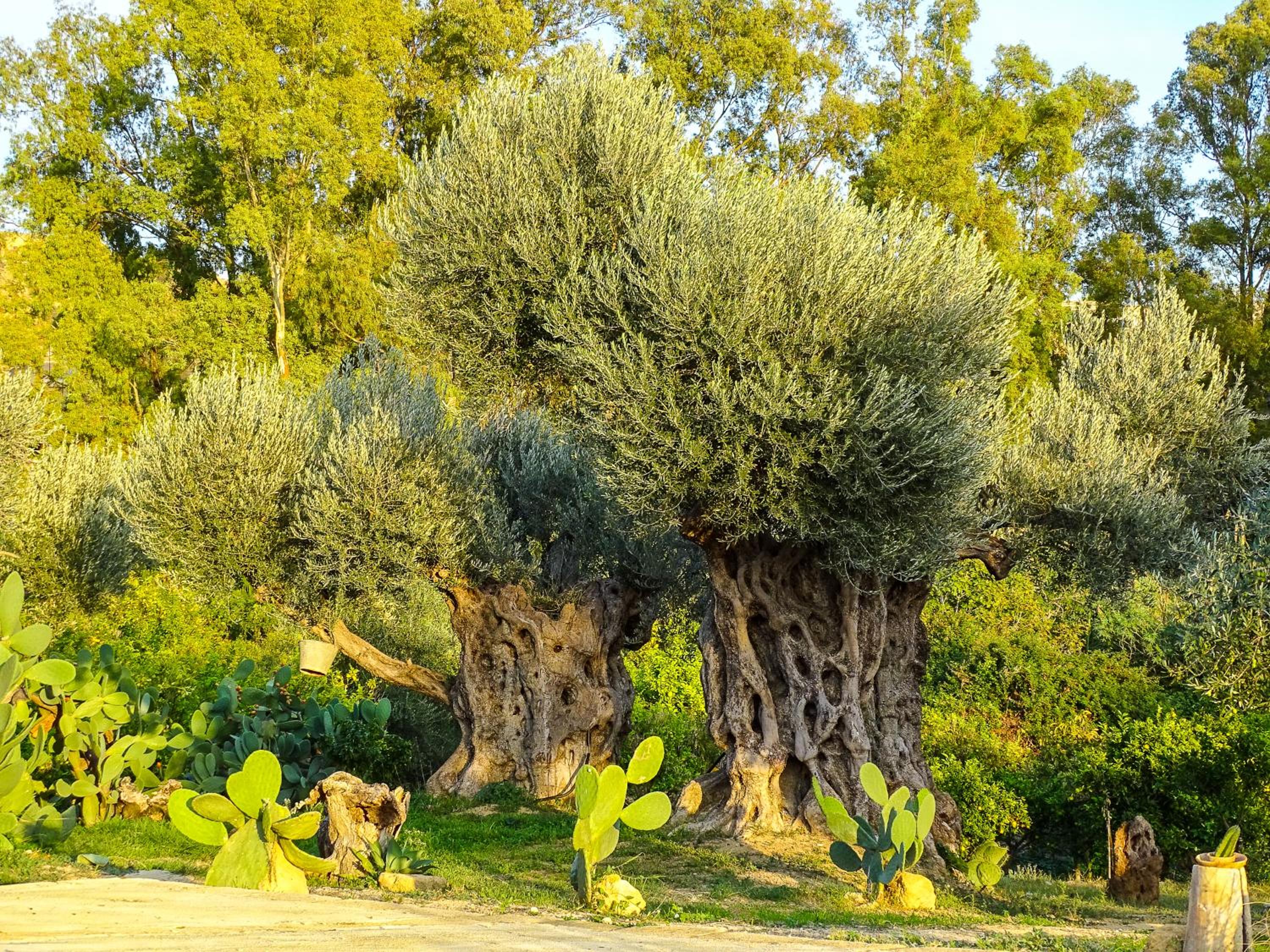 Villa La Lumia B&B Suites & Apartments