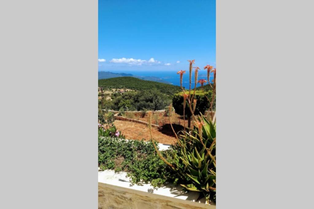 Villa Gurli Kas view 2