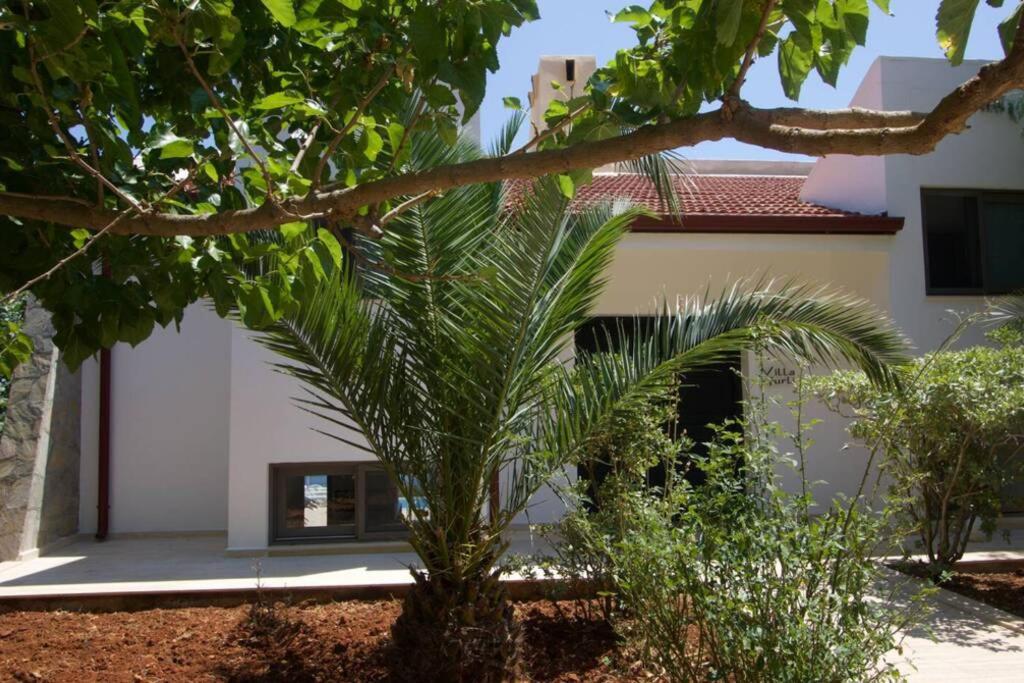 Villa Gurli Kas view 3
