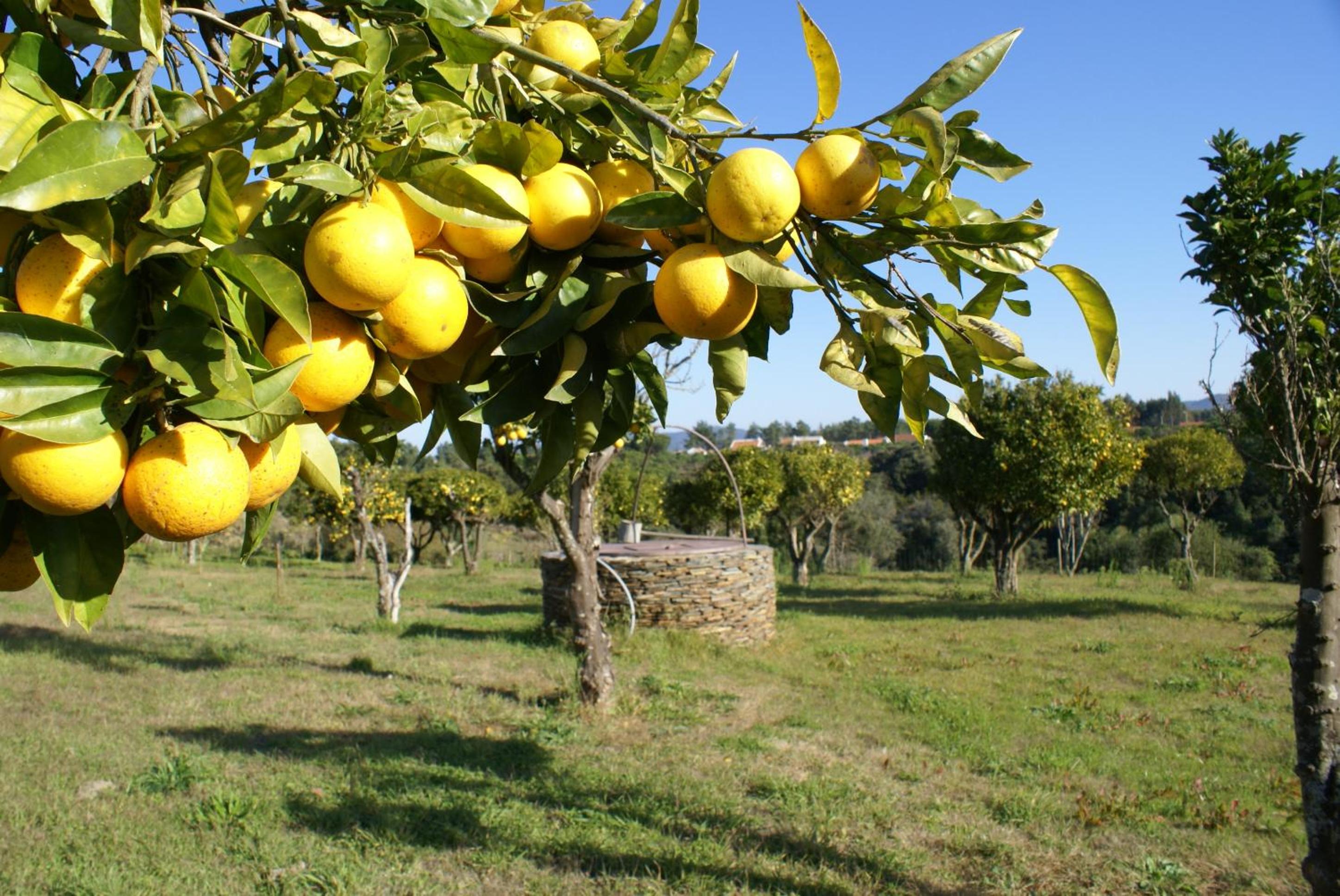 Herdade Do Freixial - Turismo Rural