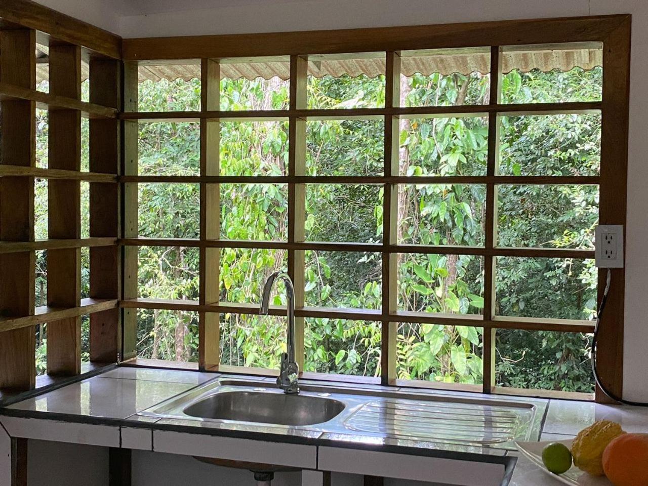 Casa pájaro - Birdwatching house