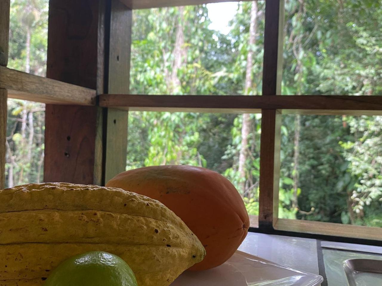 Casa pájaro - Birdwatching house