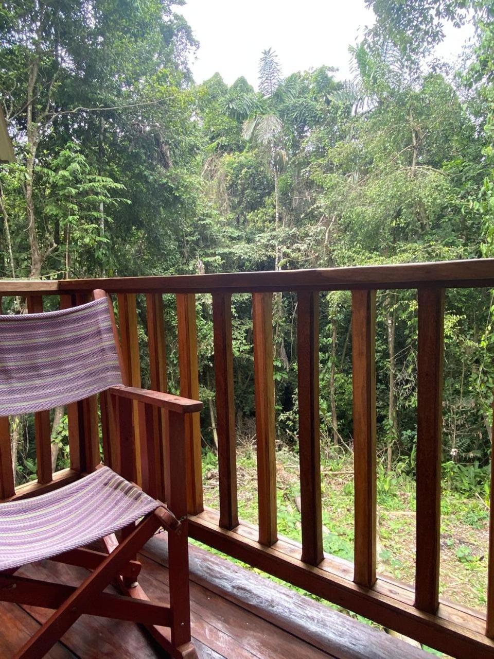 Casa pájaro - Birdwatching house