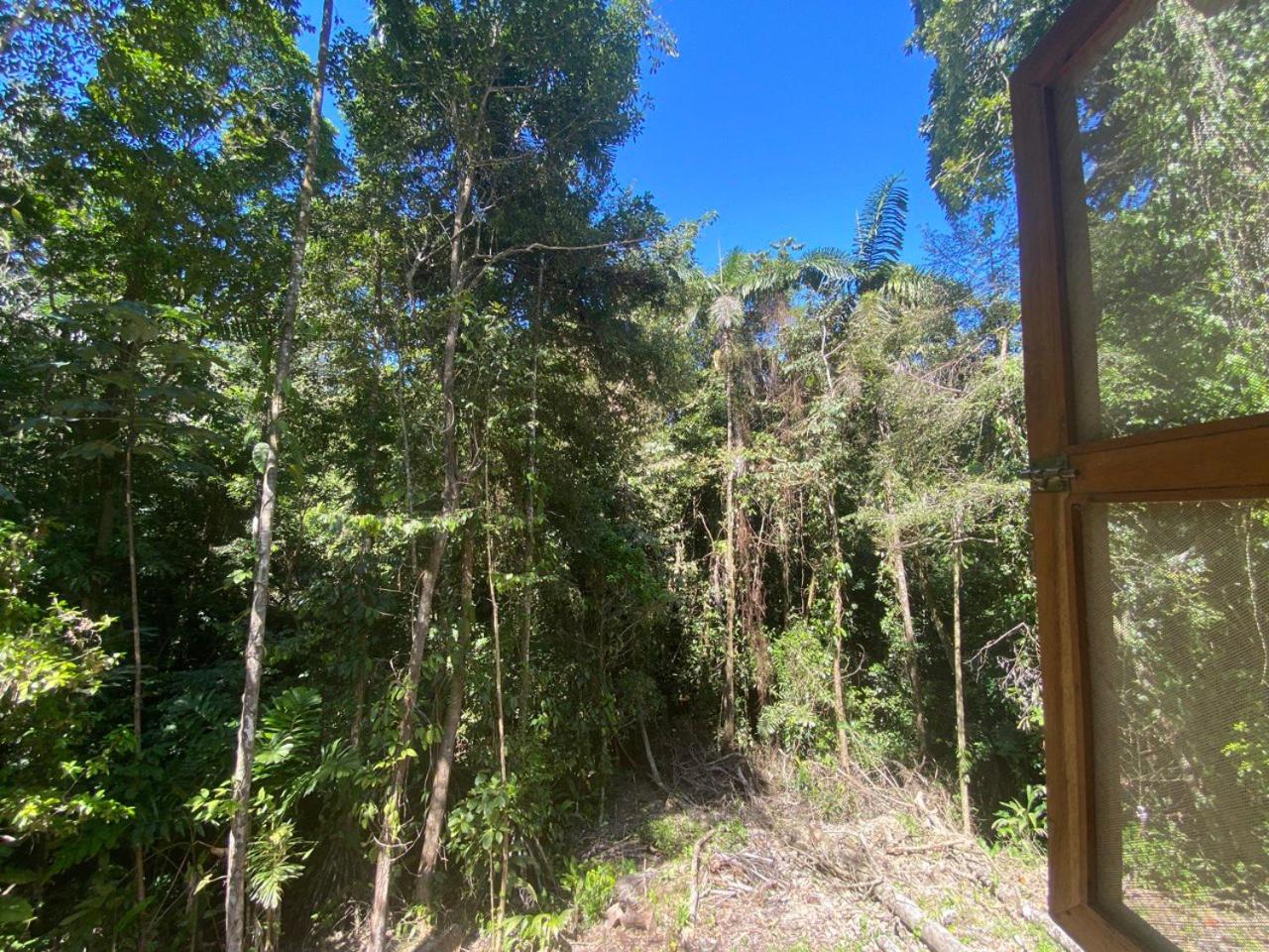 Casa pájaro - Birdwatching house