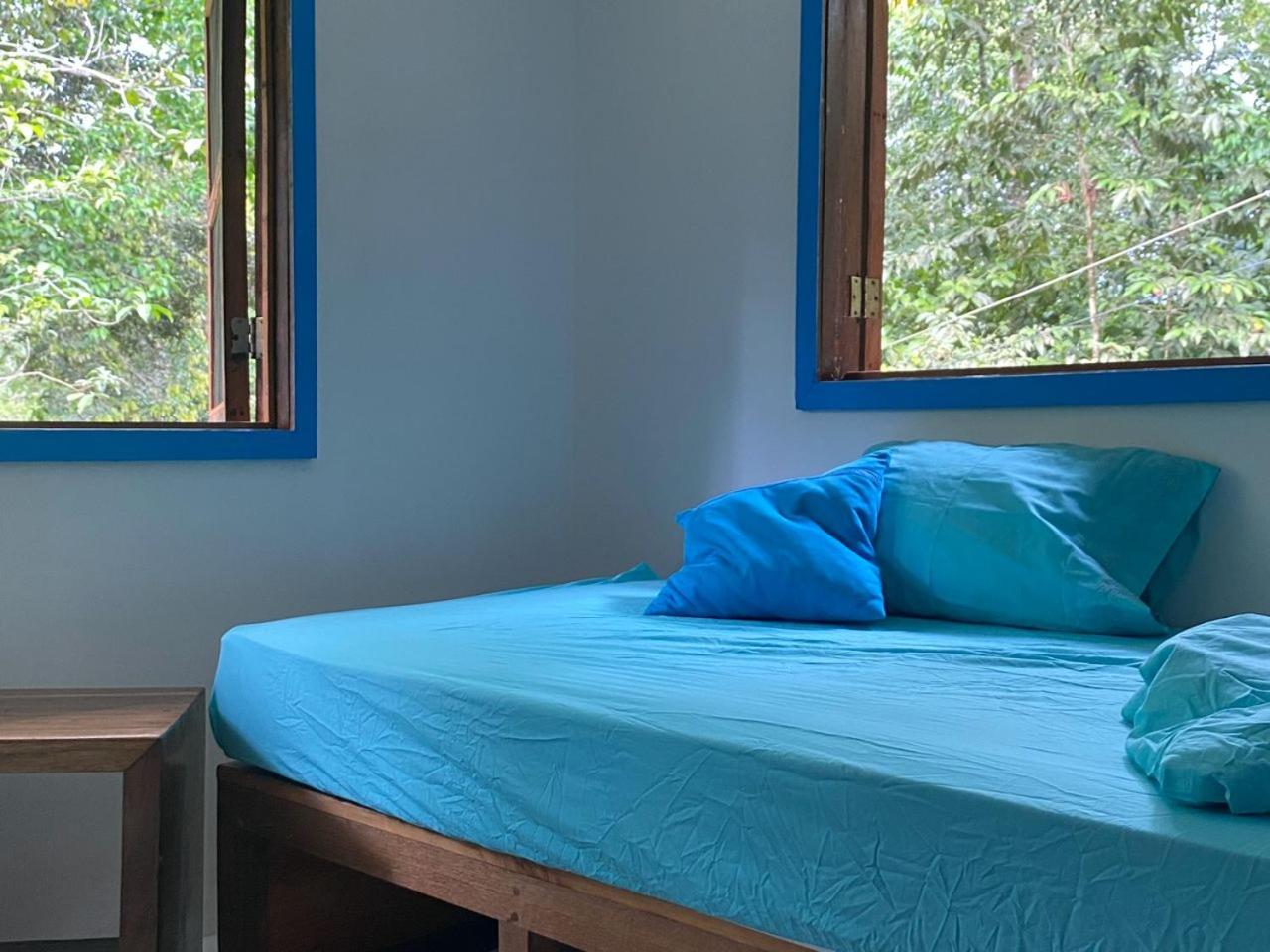 Casa pájaro - Birdwatching house