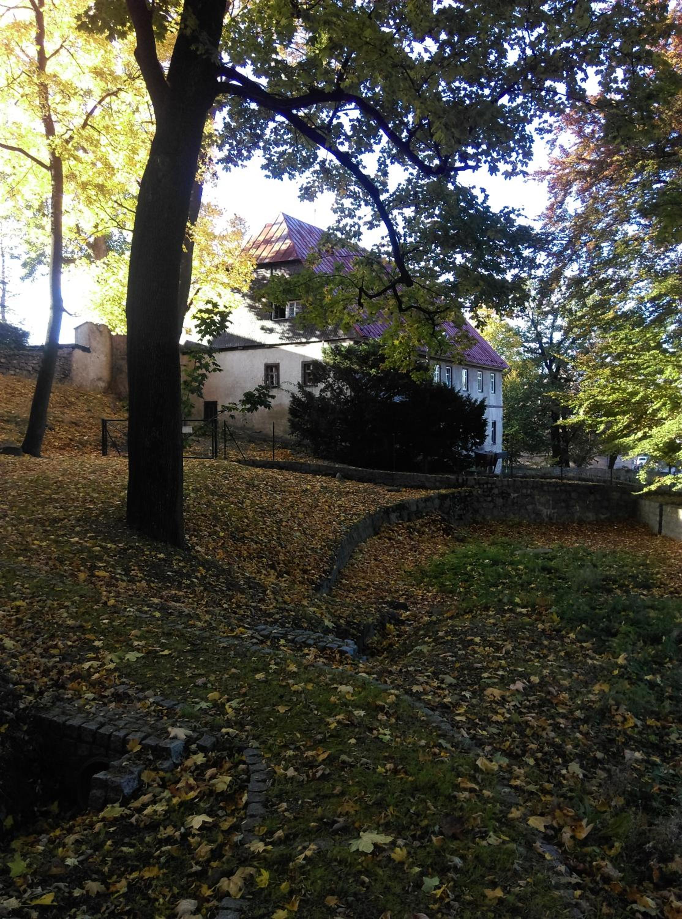 Photo 14