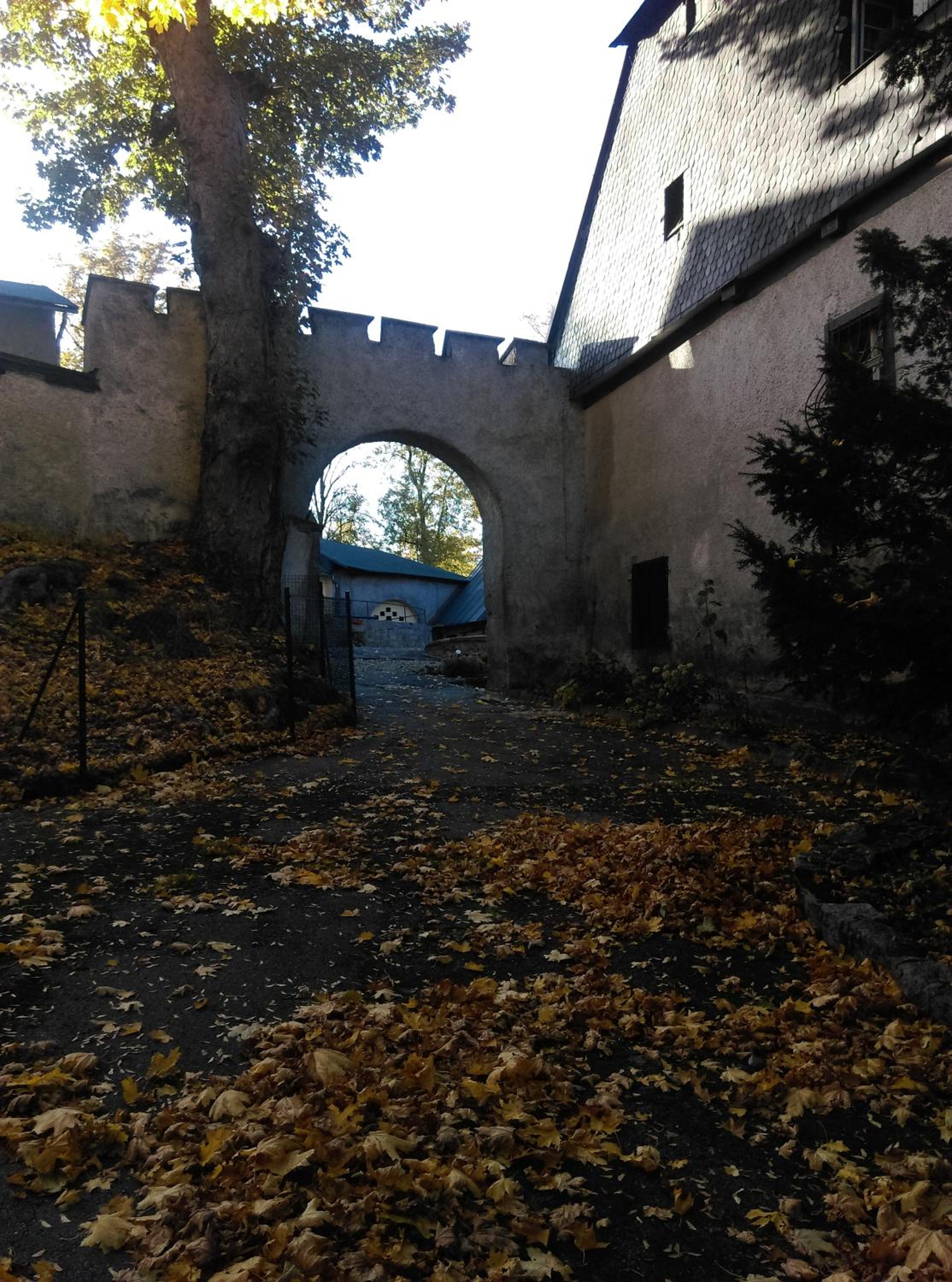 Photo 15