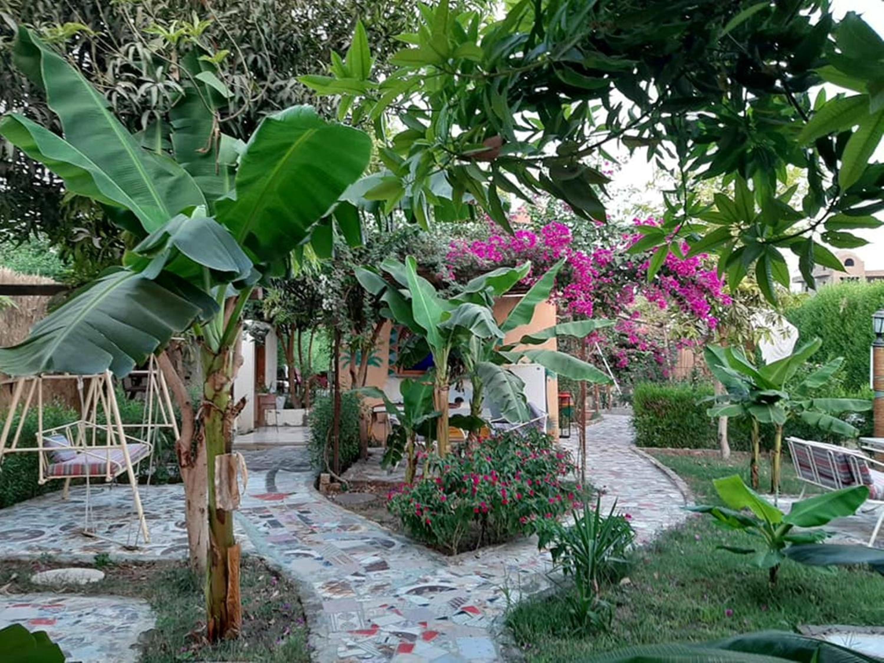 Nile Compound
