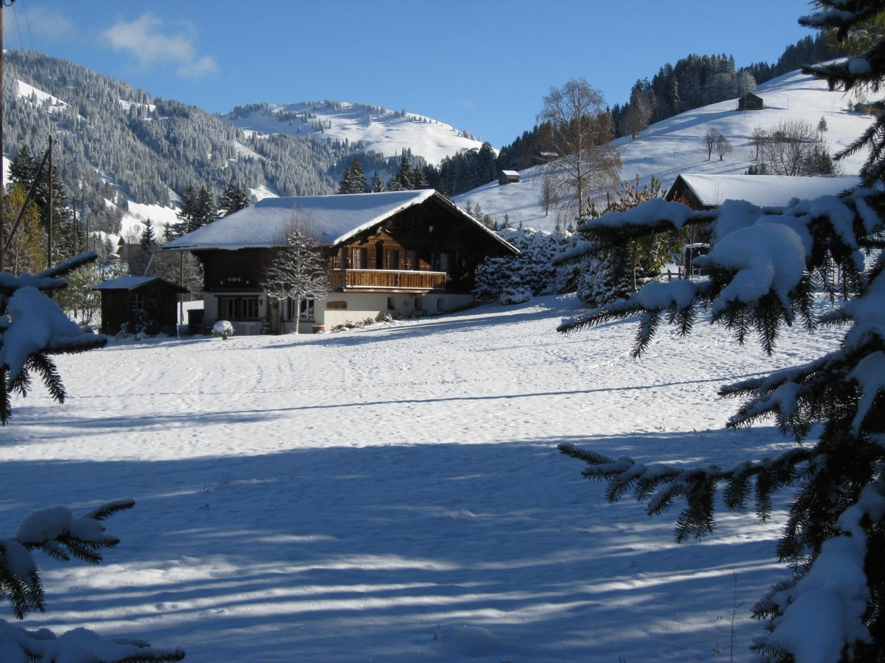 Photo 13