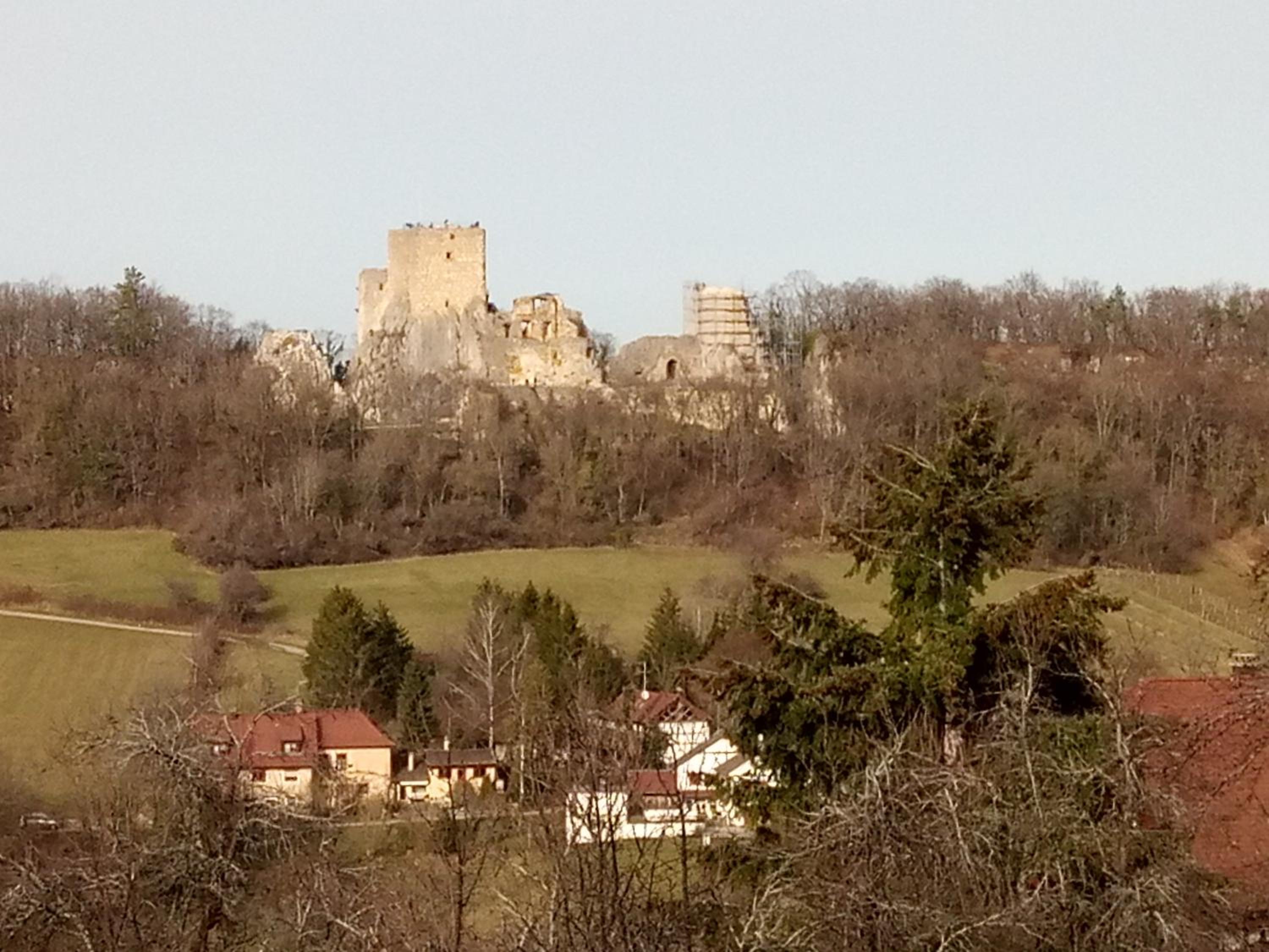 Photo 25