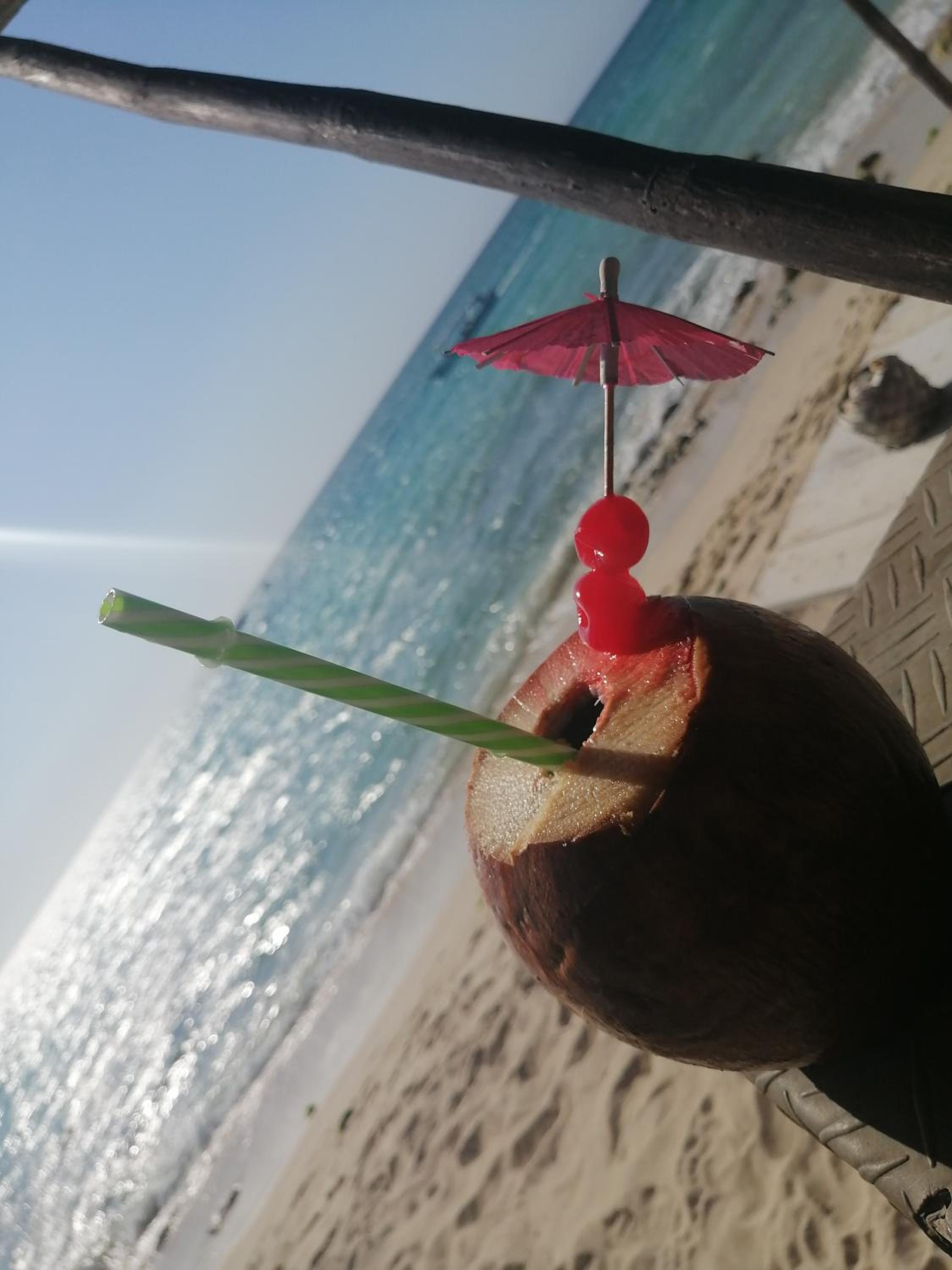 Playa Tortuga Carey