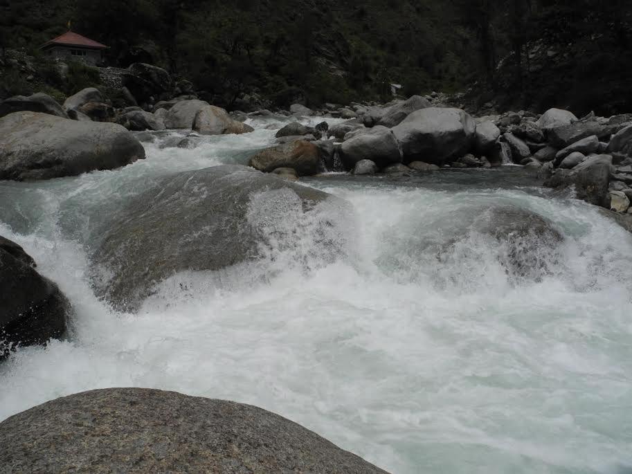 Photo 19