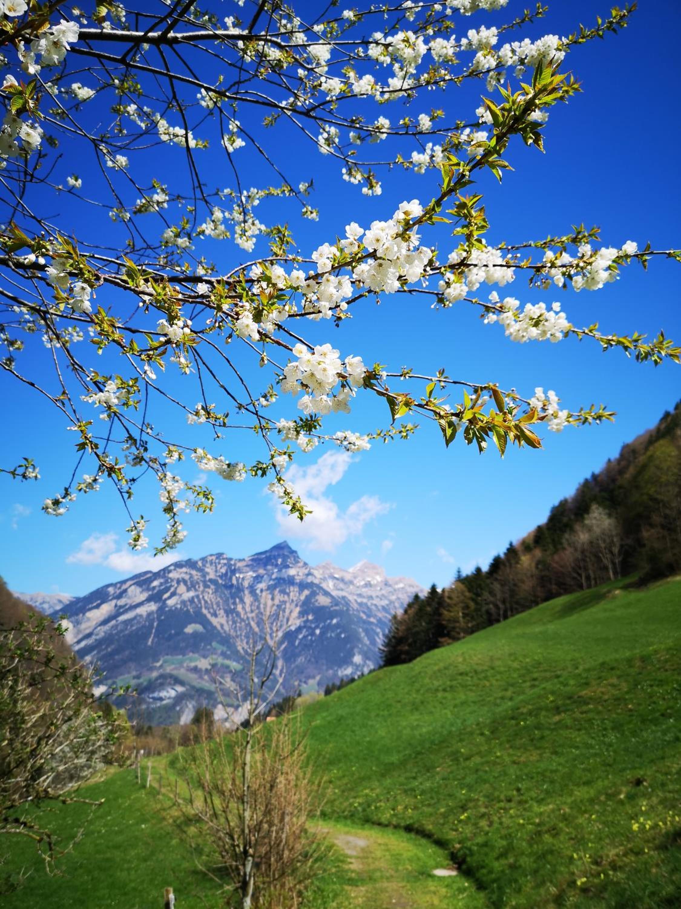 FEWO Rophaienblick