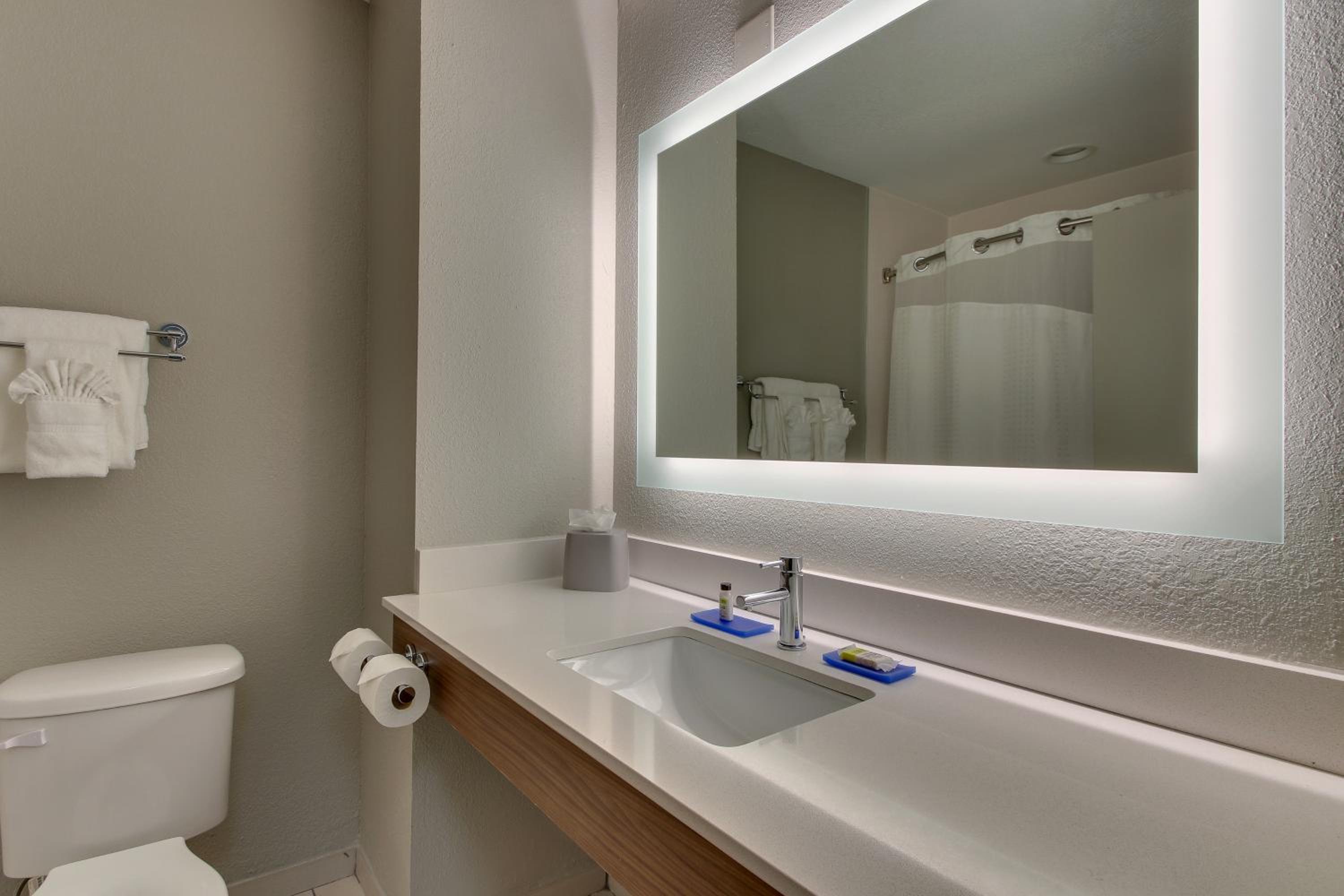 Holiday Inn Express West Palm Beach Metrocentre by IHG view 5