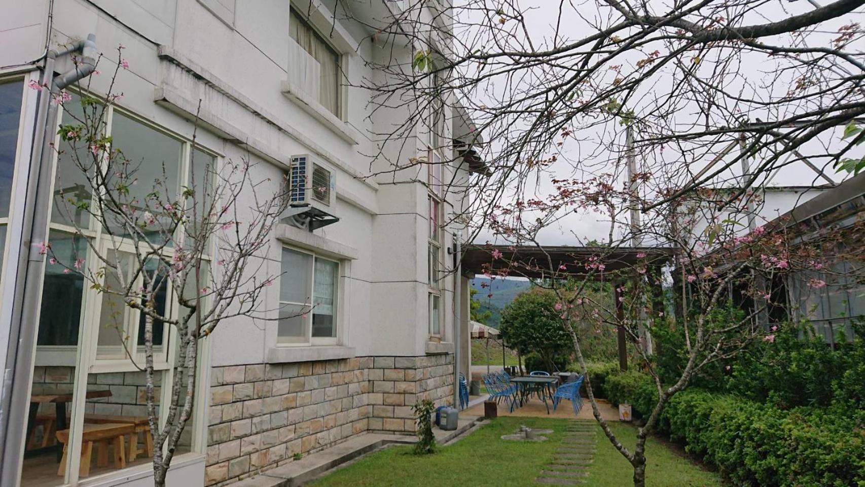 Star House