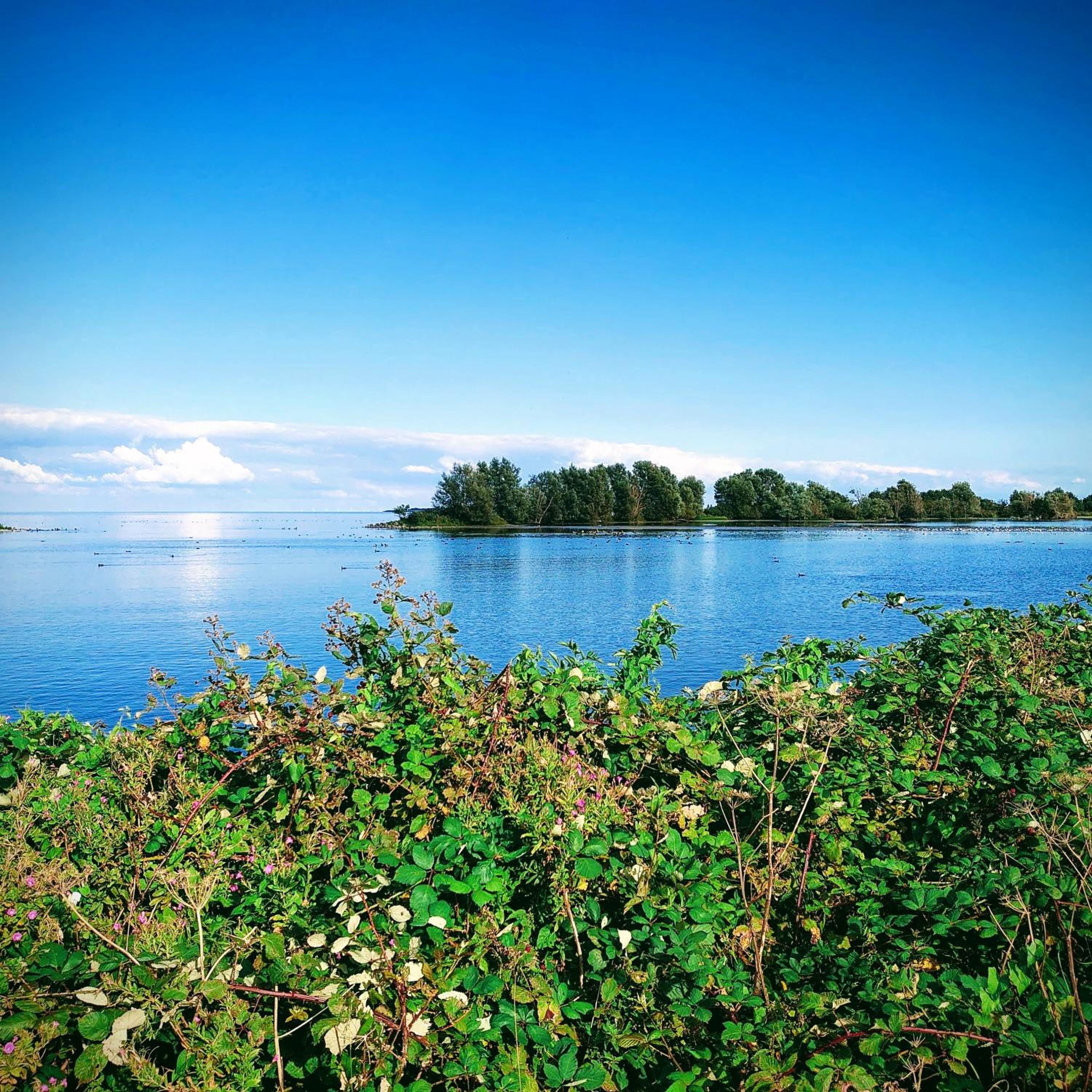 B&B ZusenZomer view 3