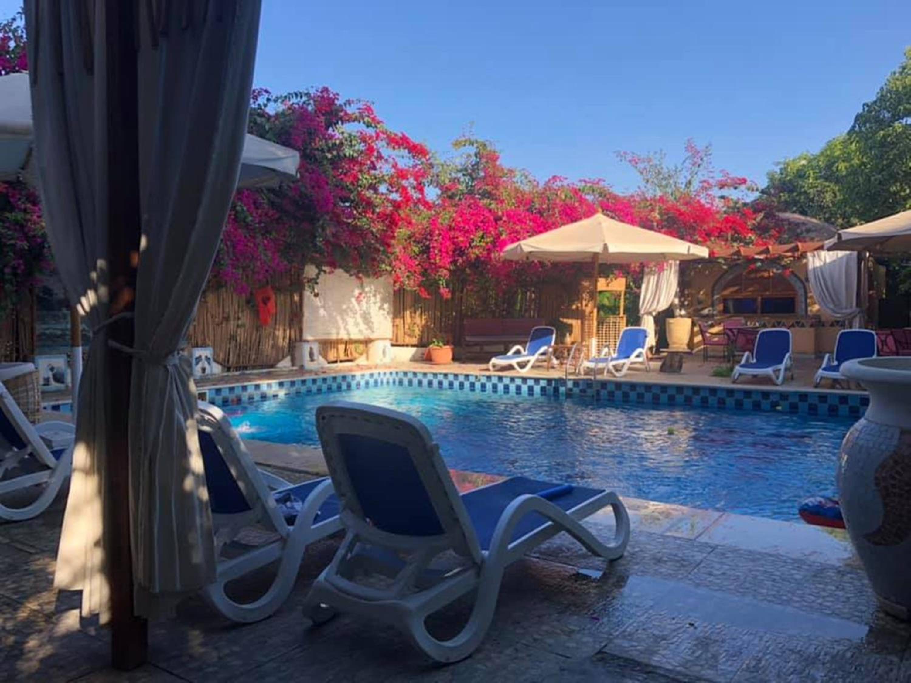 Nile Compound
