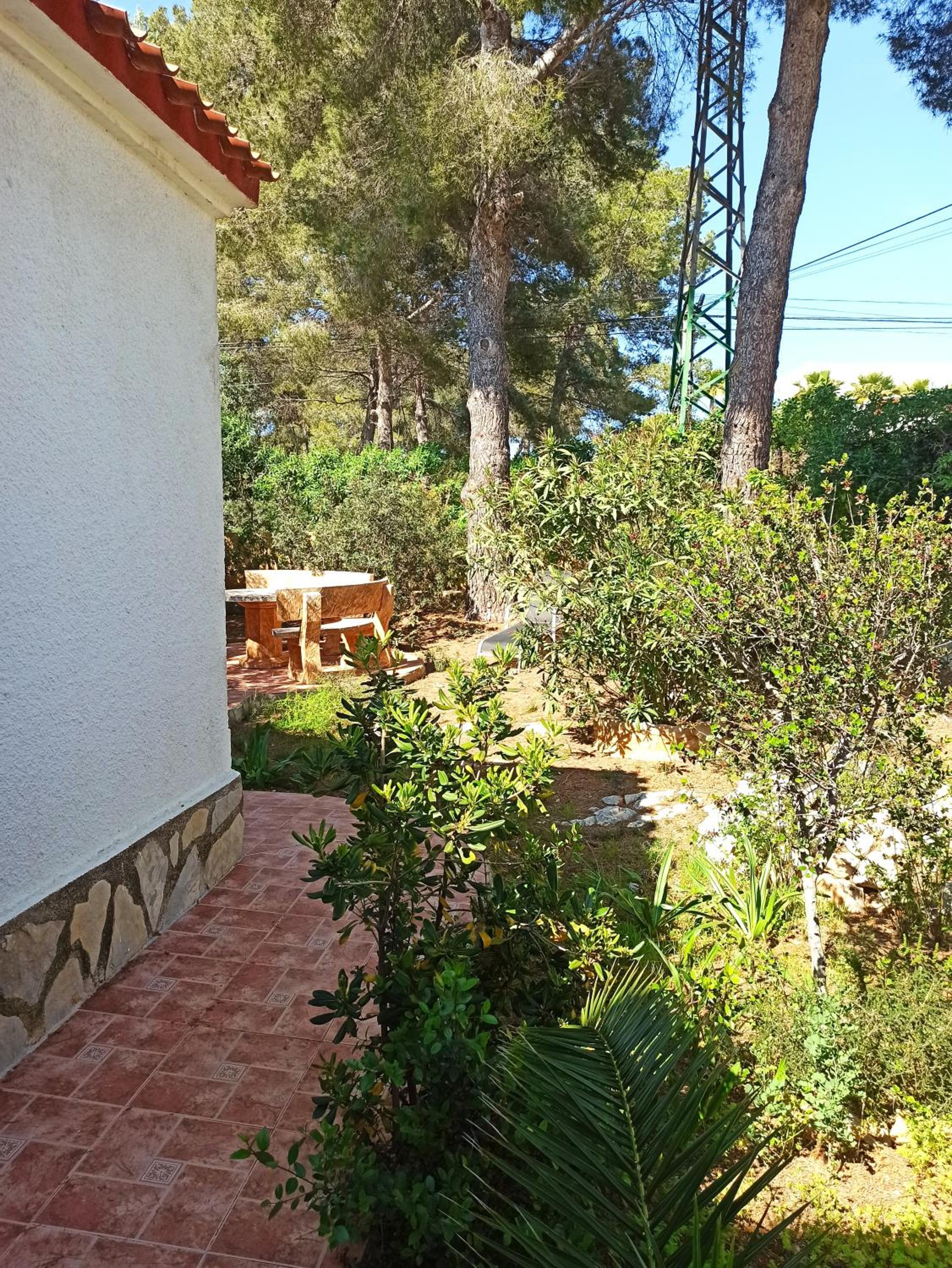 Photo 18
