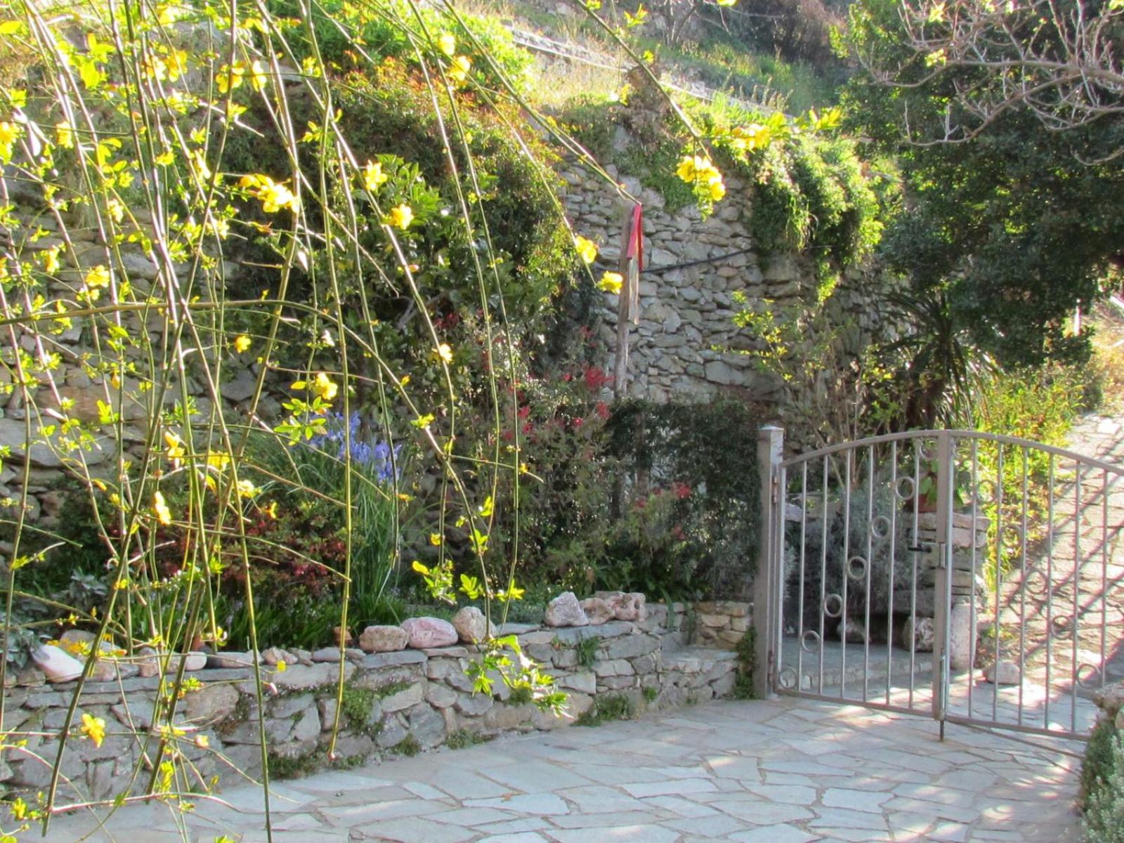 Photo 49