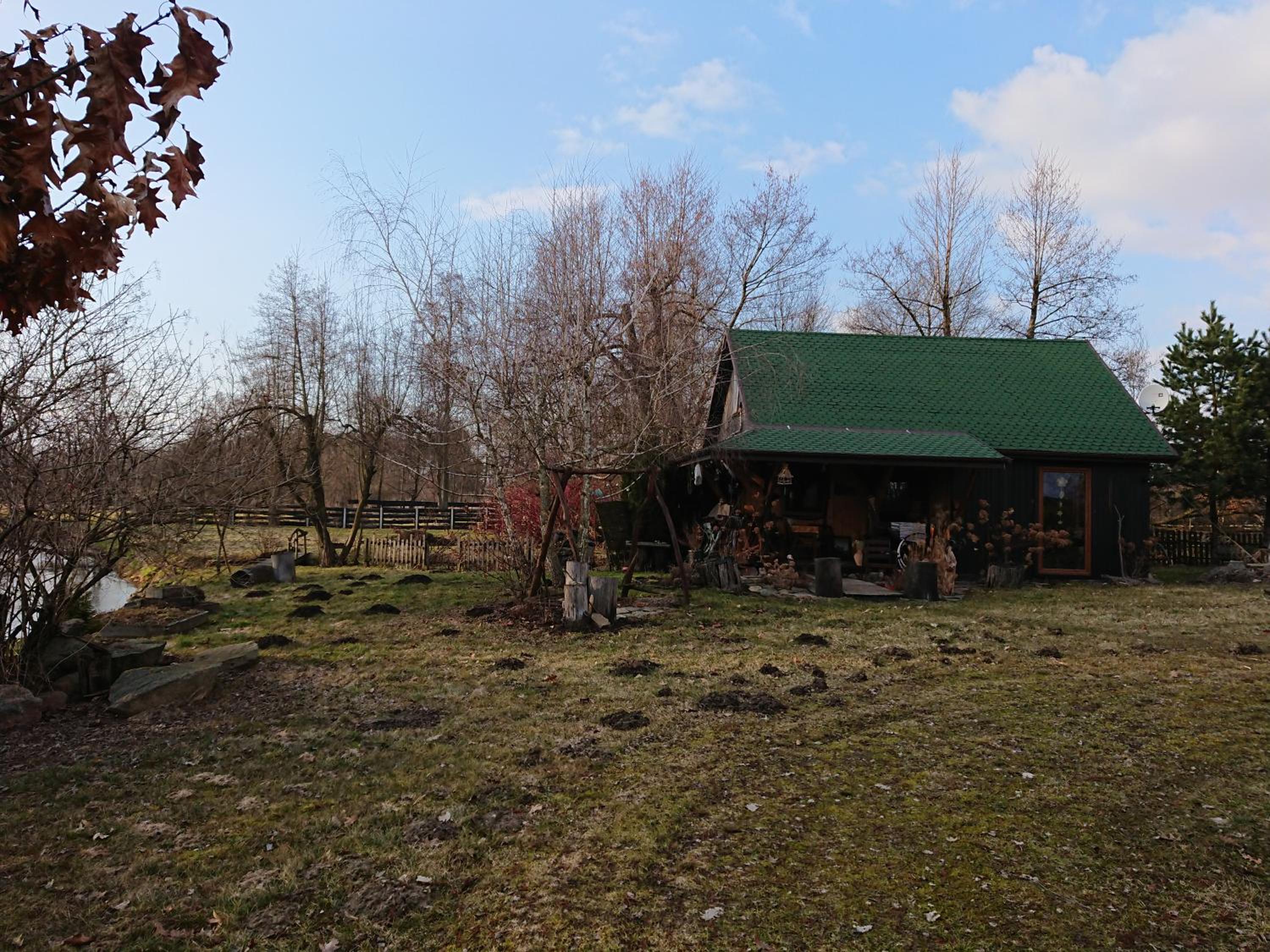 Photo 42