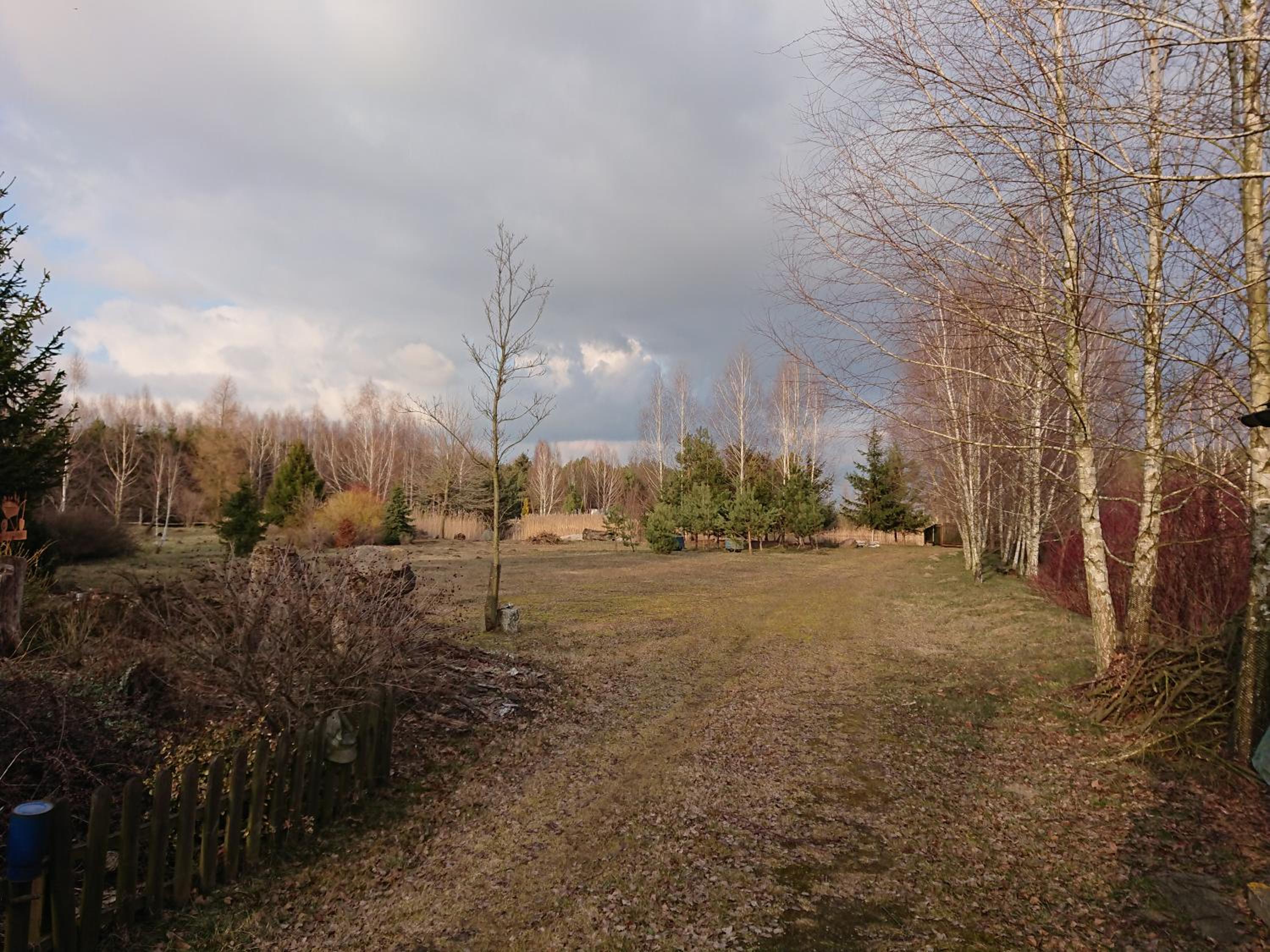 Photo 43